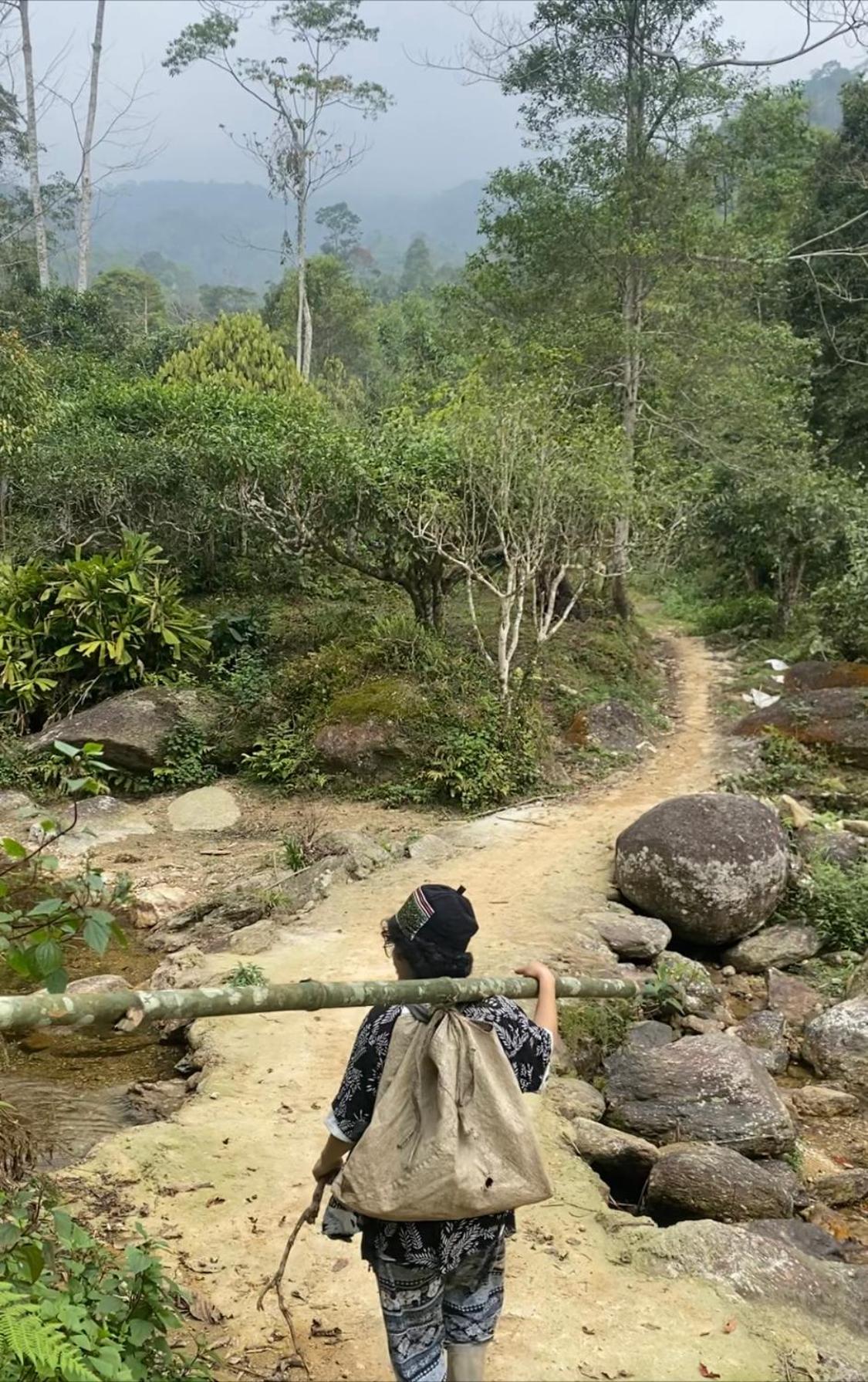 Bikki's jungle homestay