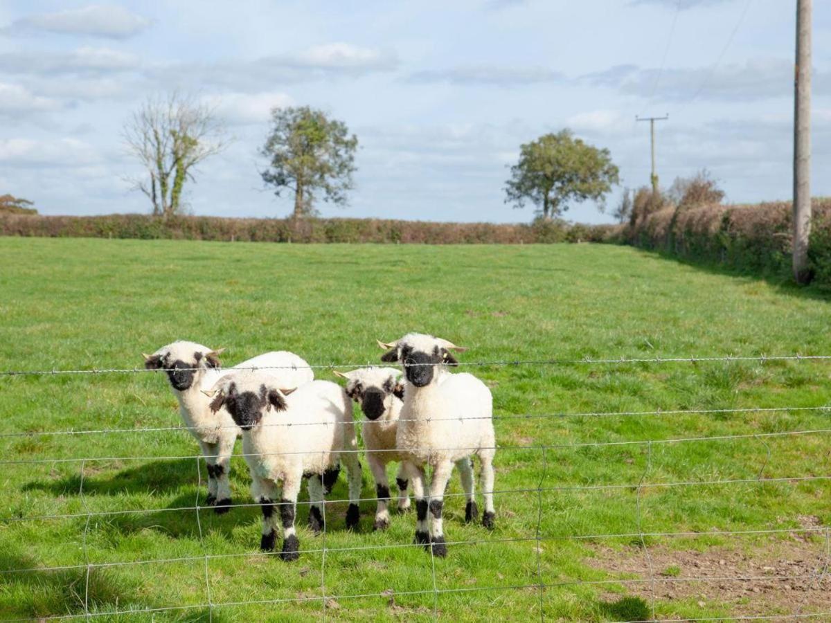 Copse View