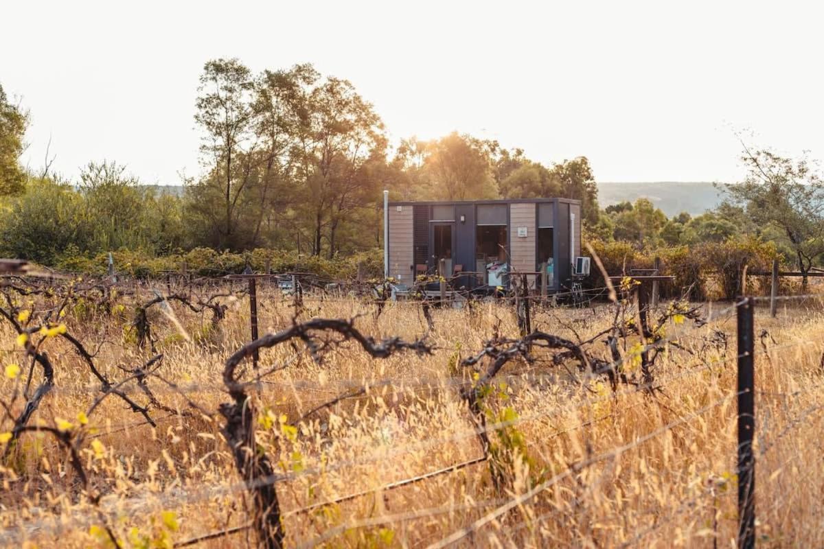Alpaca Tiny House with Vineyard Lakeside by Tiny Away