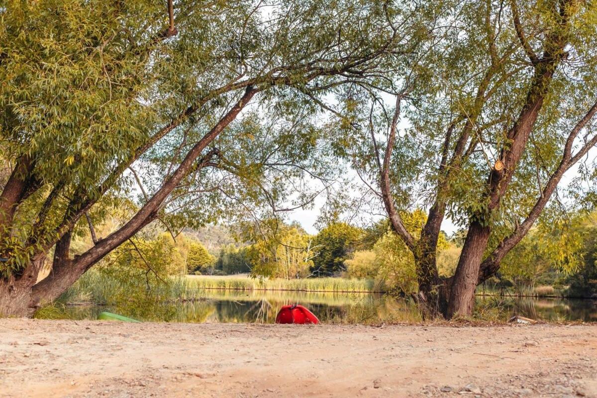 Alpaca Tiny House with Vineyard Lakeside by Tiny Away