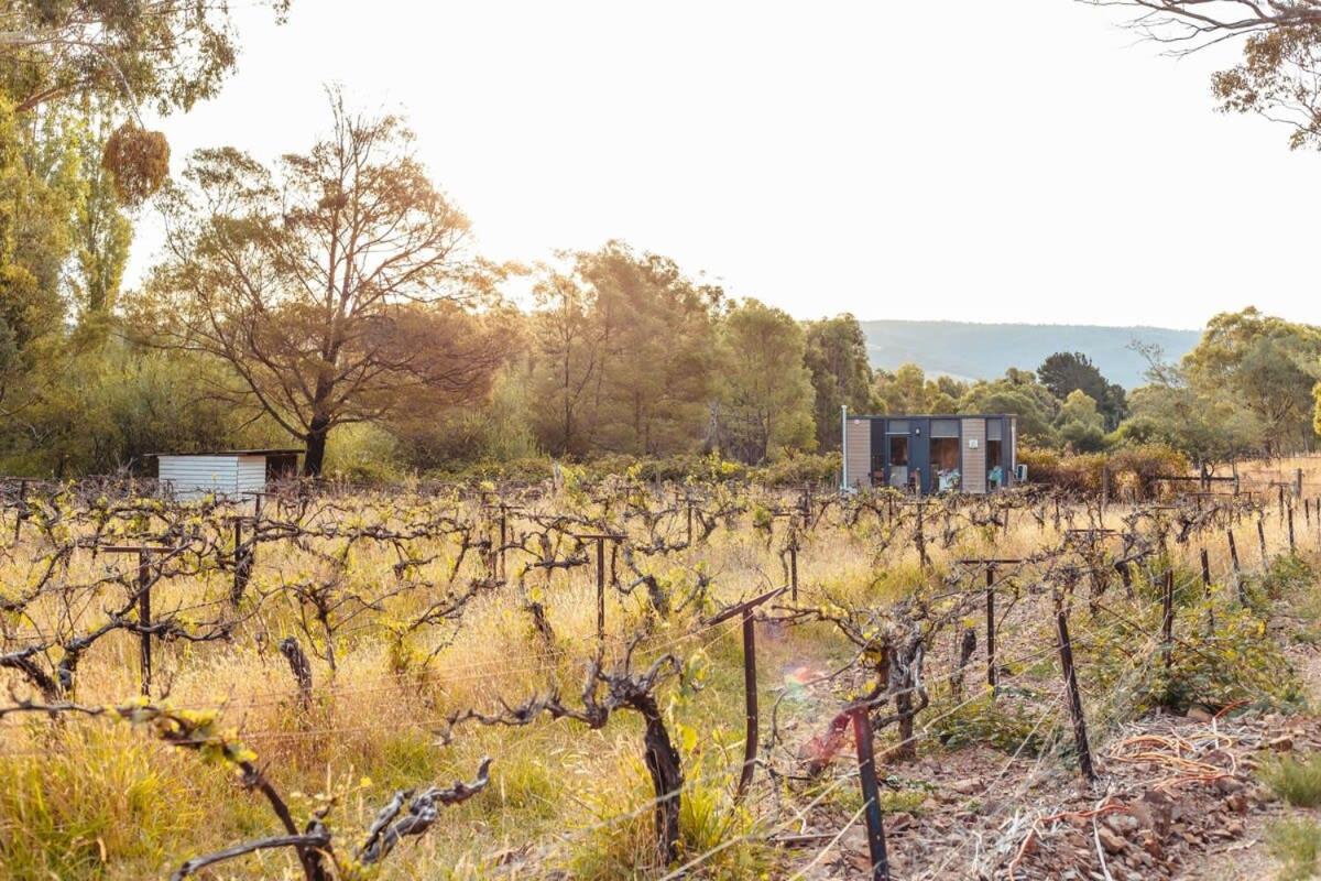 Alpaca Tiny House with Vineyard Lakeside by Tiny Away