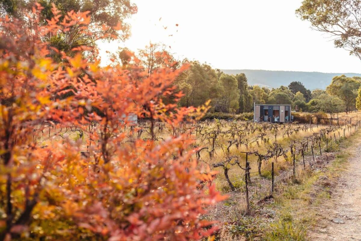 Alpaca Tiny House with Vineyard Lakeside by Tiny Away