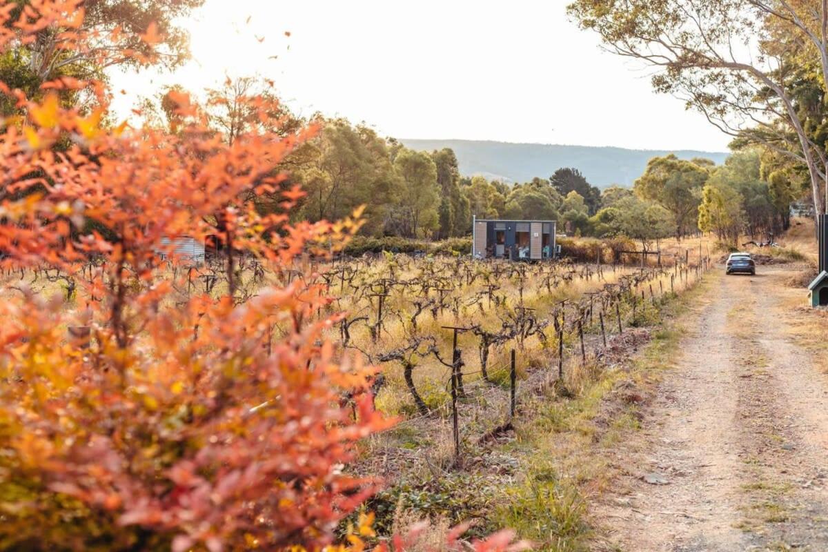 Alpaca Tiny House with Vineyard Lakeside by Tiny Away