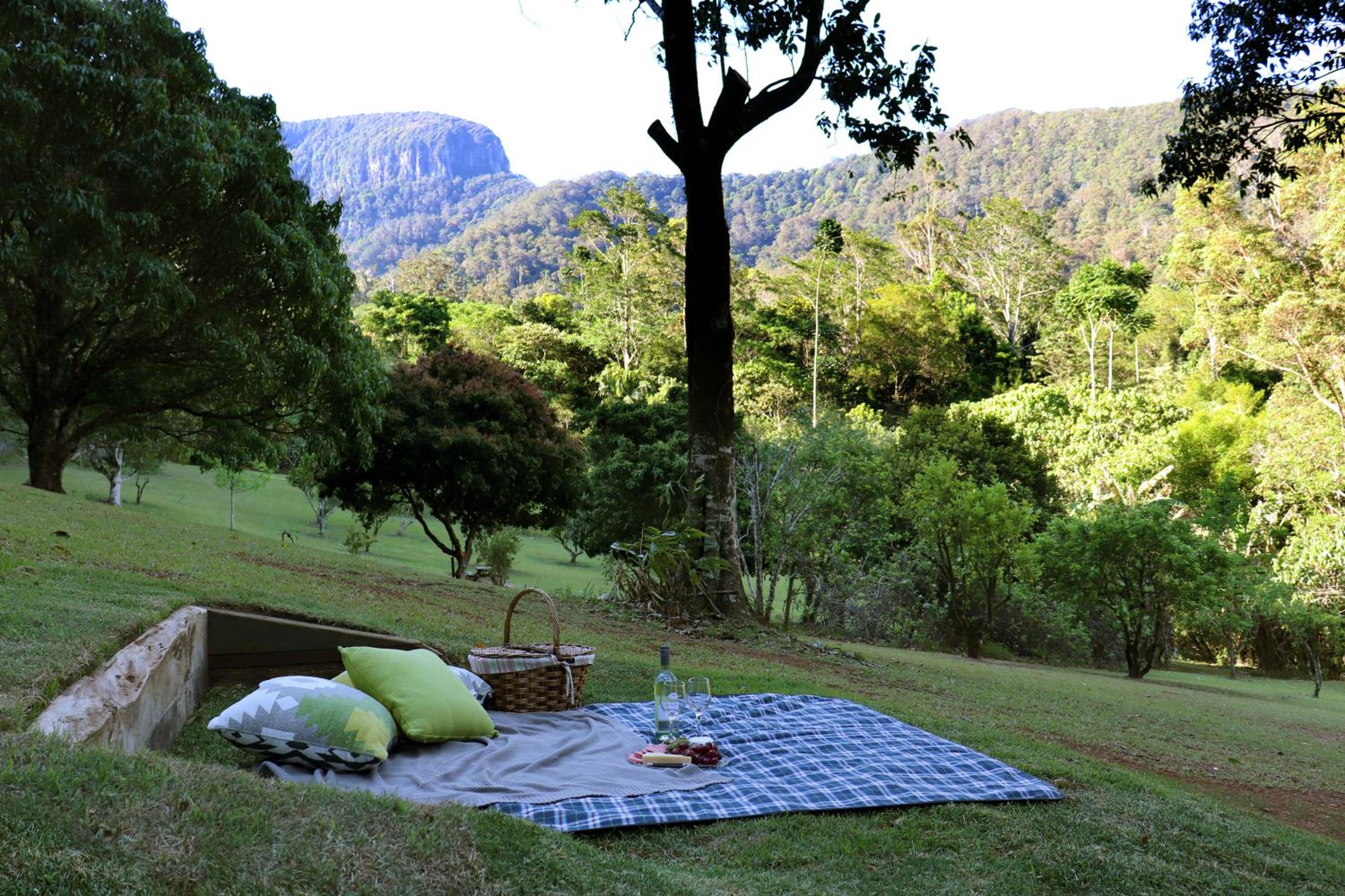 Crystal Creek Rainforest Retreat
