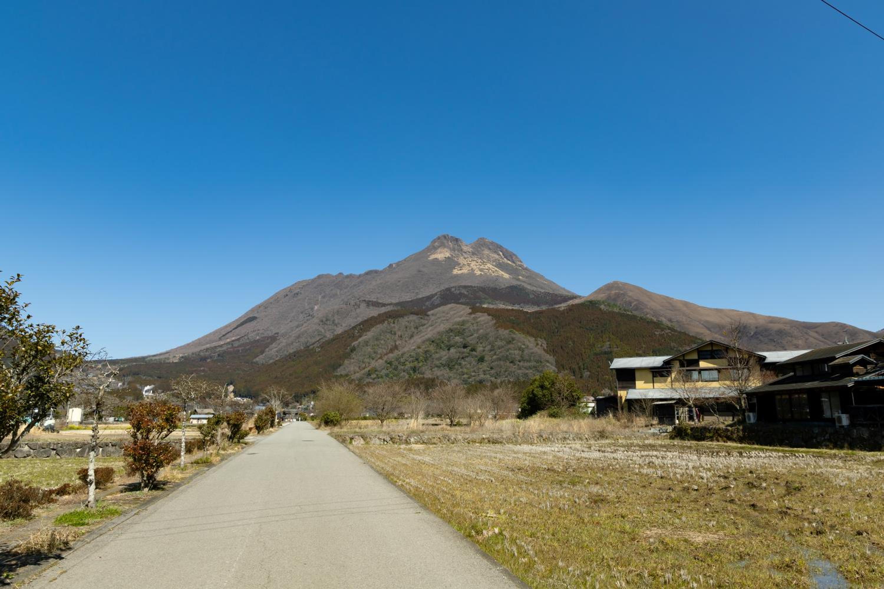 Yufuin Hotel Shuhokan