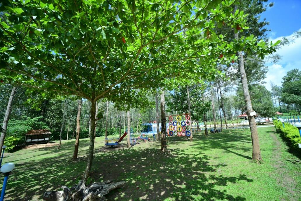 SIPAYI RESORT COORG view 3