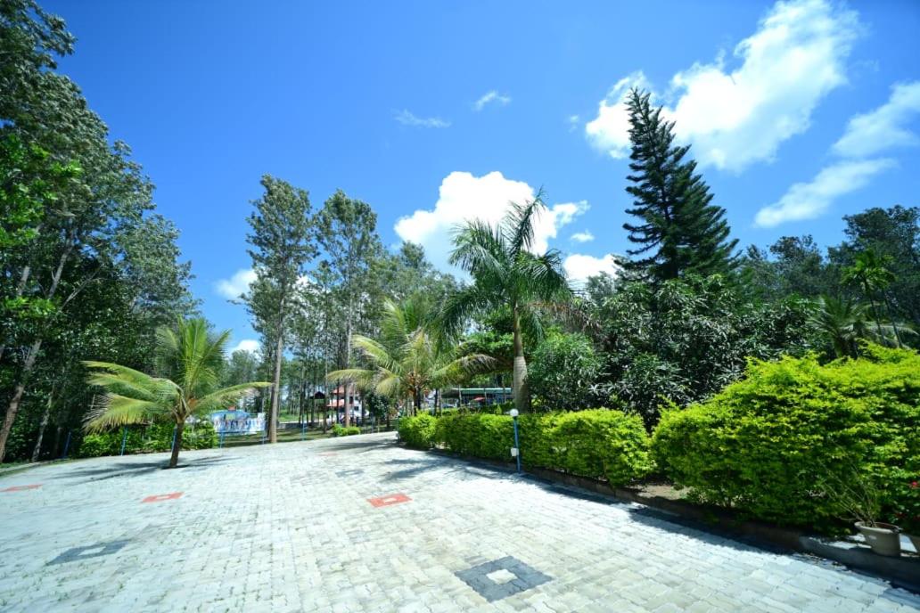 Photo 45