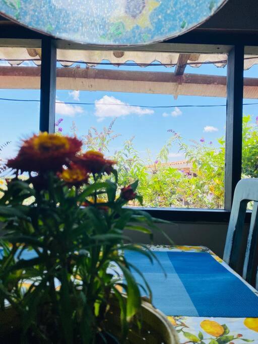 La Vida es Bella! - hermosa cabaña de descanso