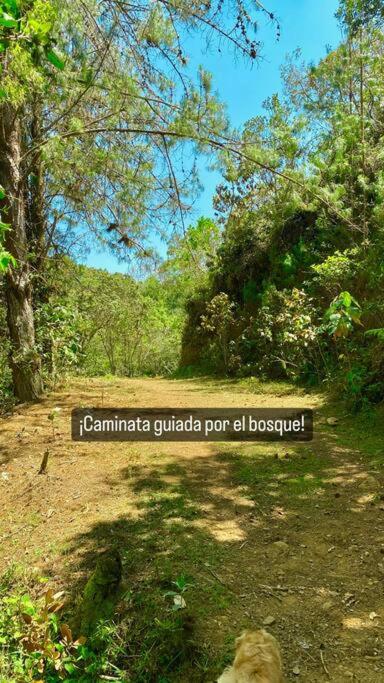 La Vida es Bella! - hermosa cabaña de descanso