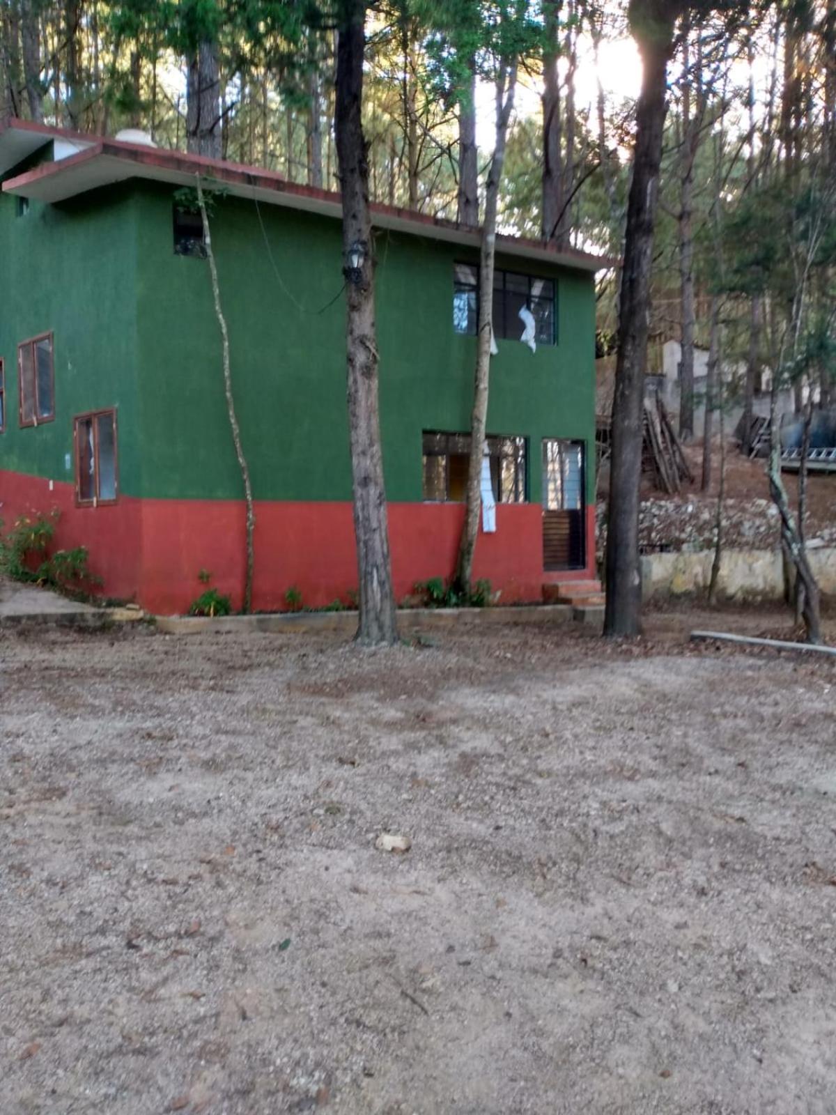 LOS ALAMOS