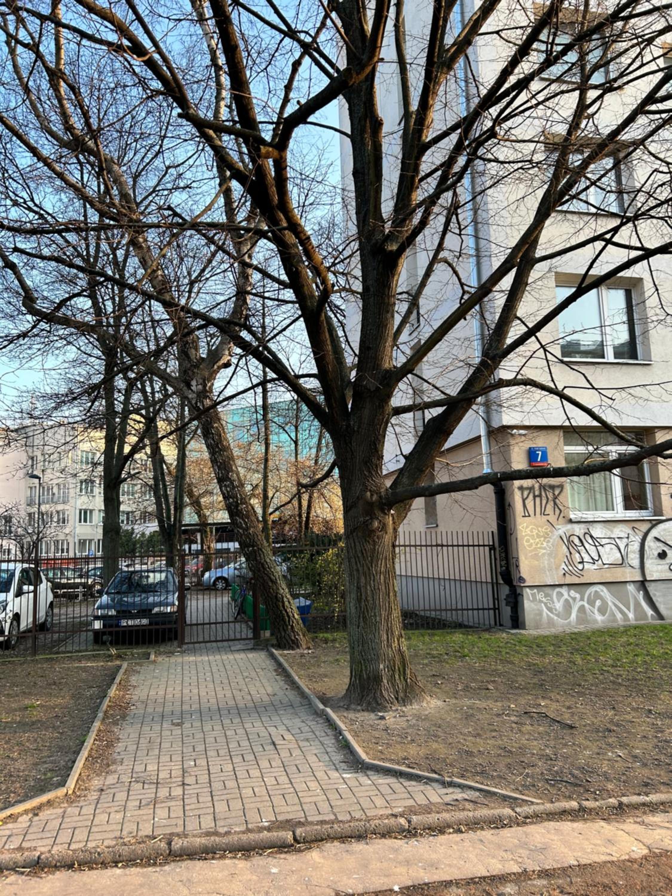 Apartament Marszałkowska