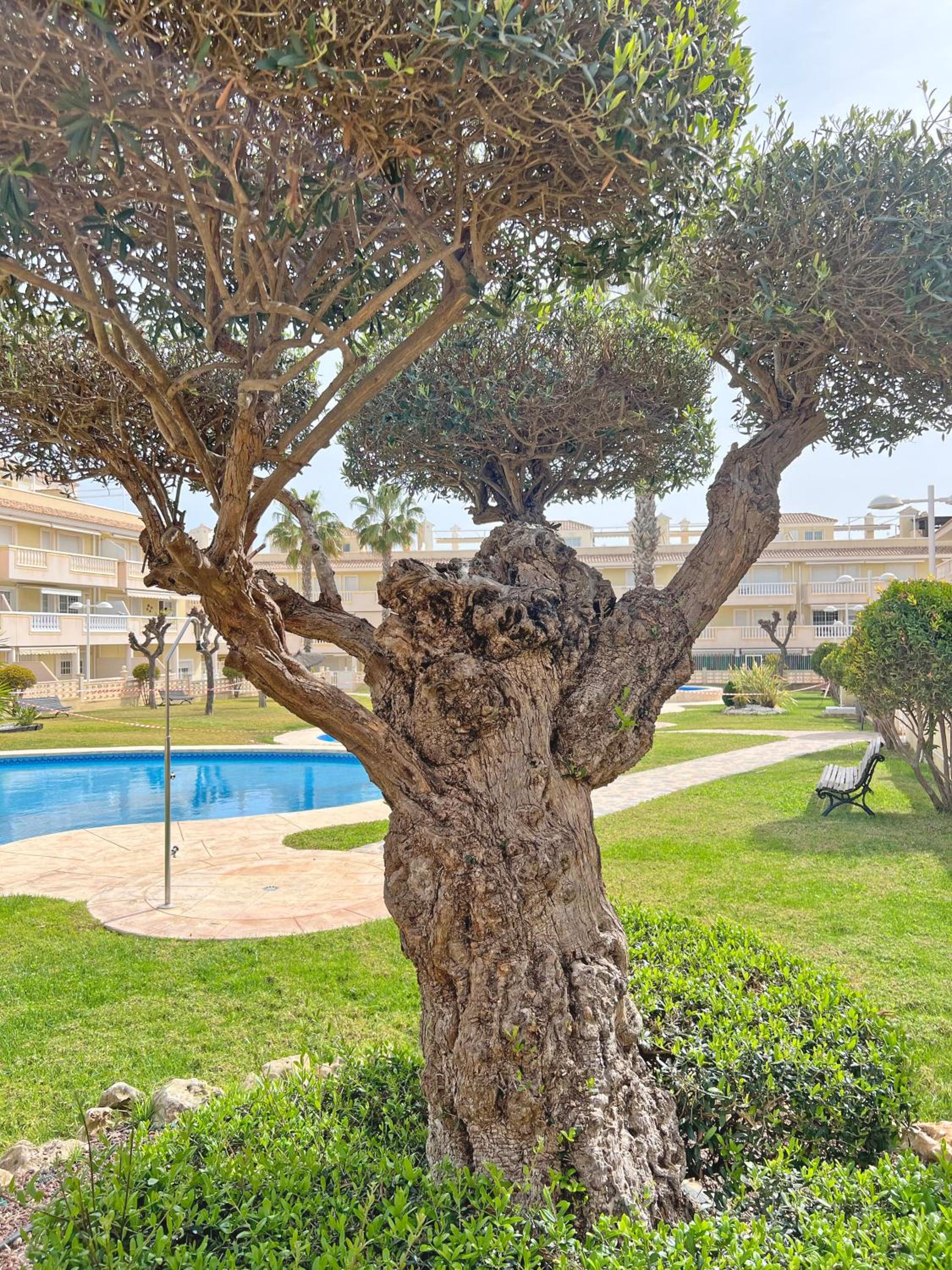 Gran Terraza, Piscina, Parking y Aire Acondicionado