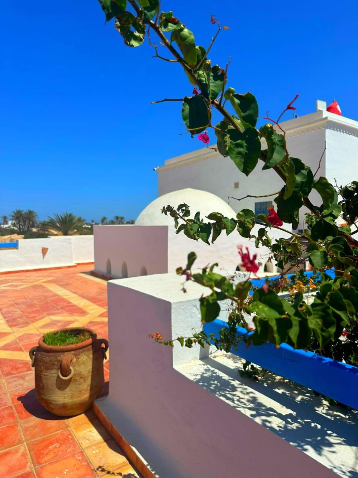 Le Patio de Mezraya