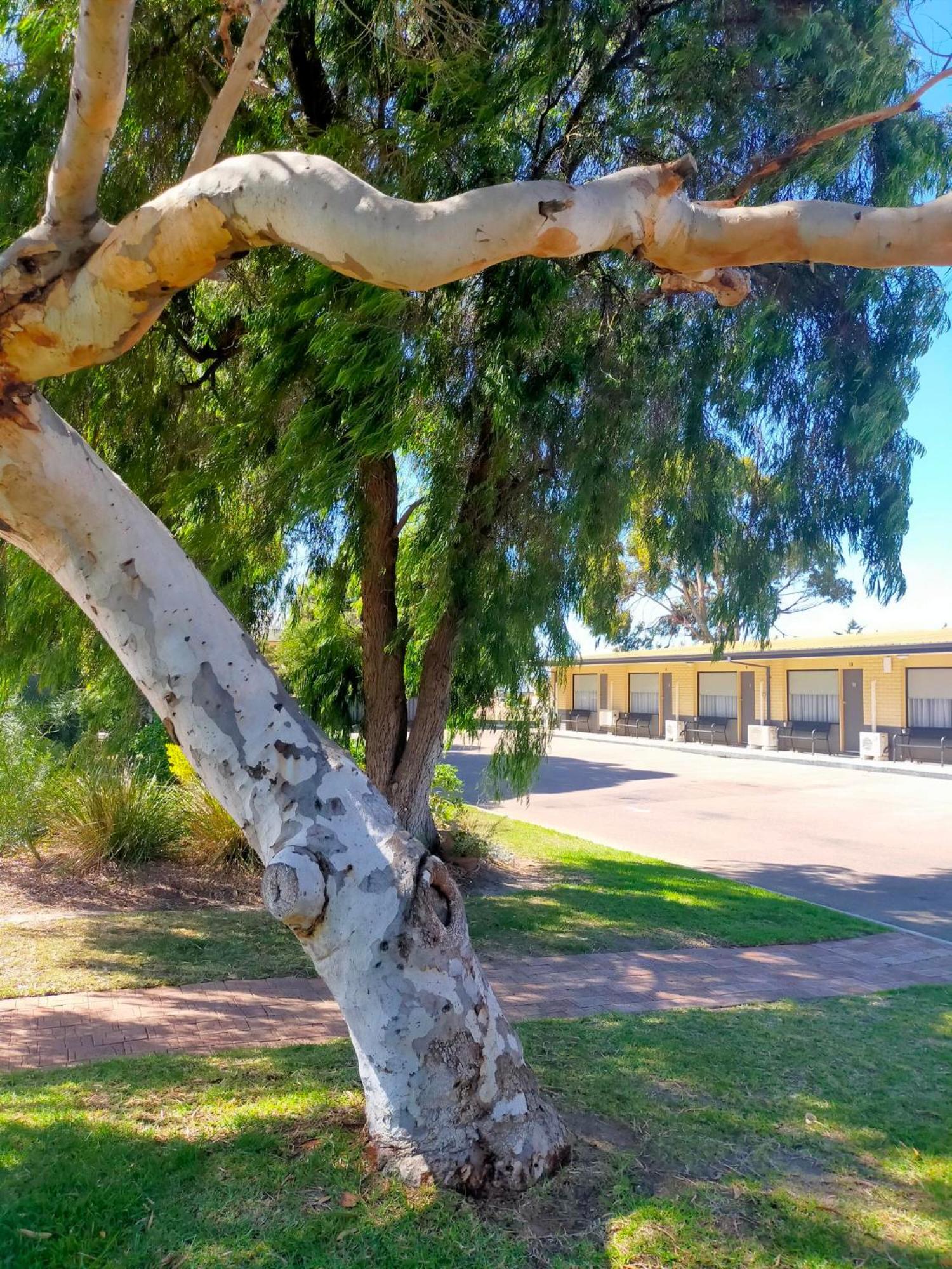 Bayview Motel