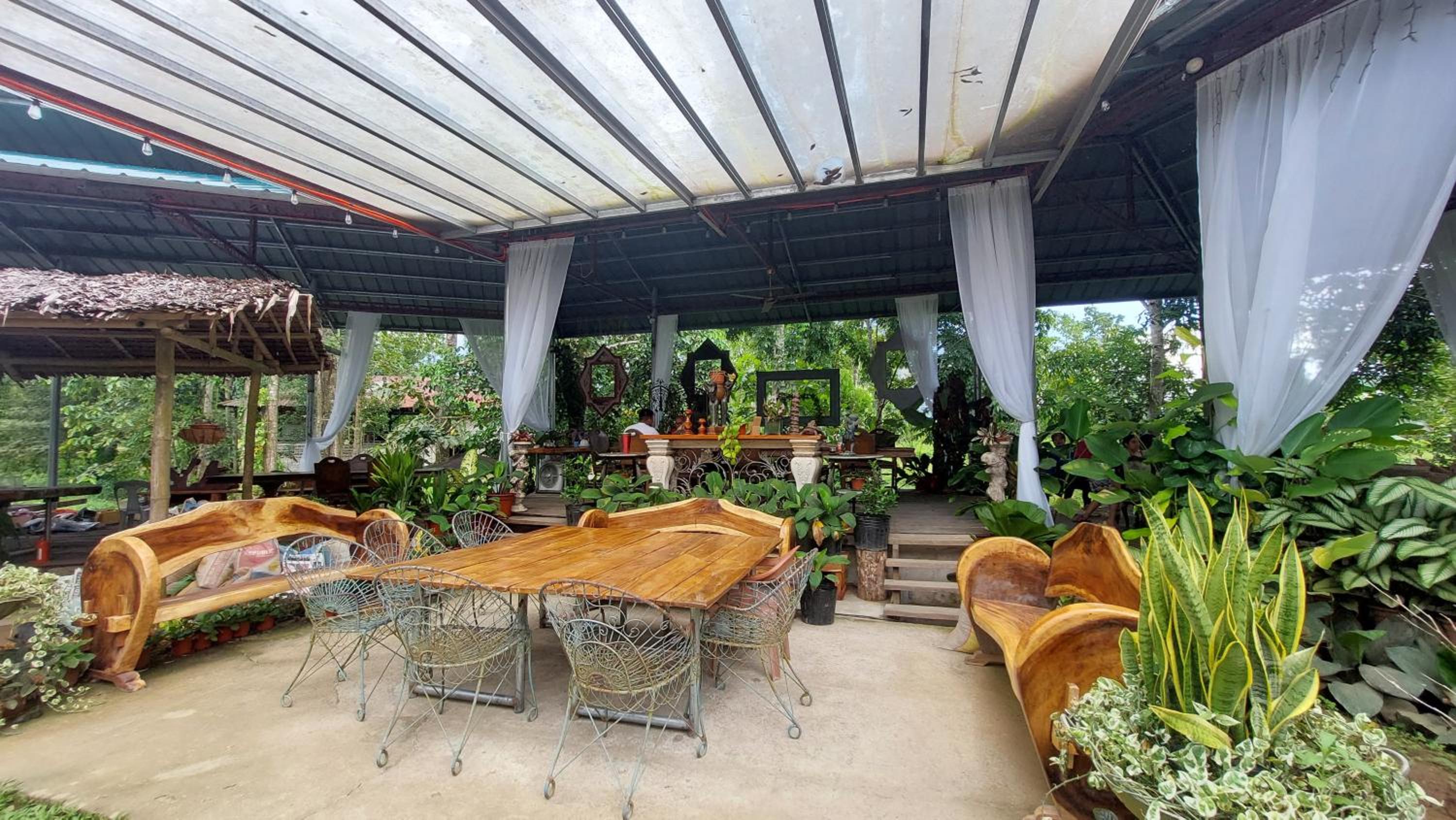 Paglinawan Organic Eco Farm view 2
