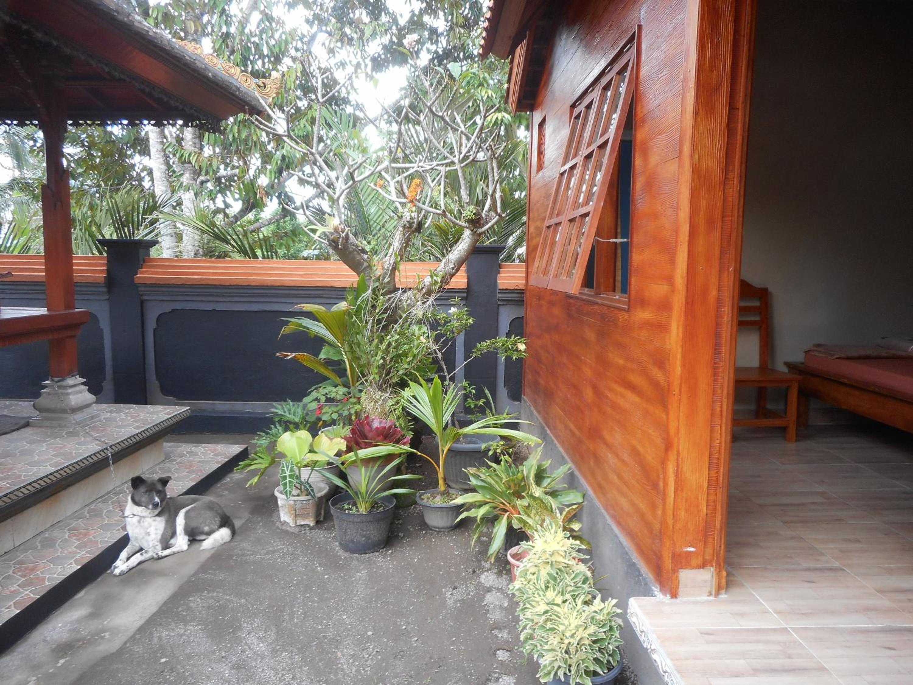 Kadek Homestay