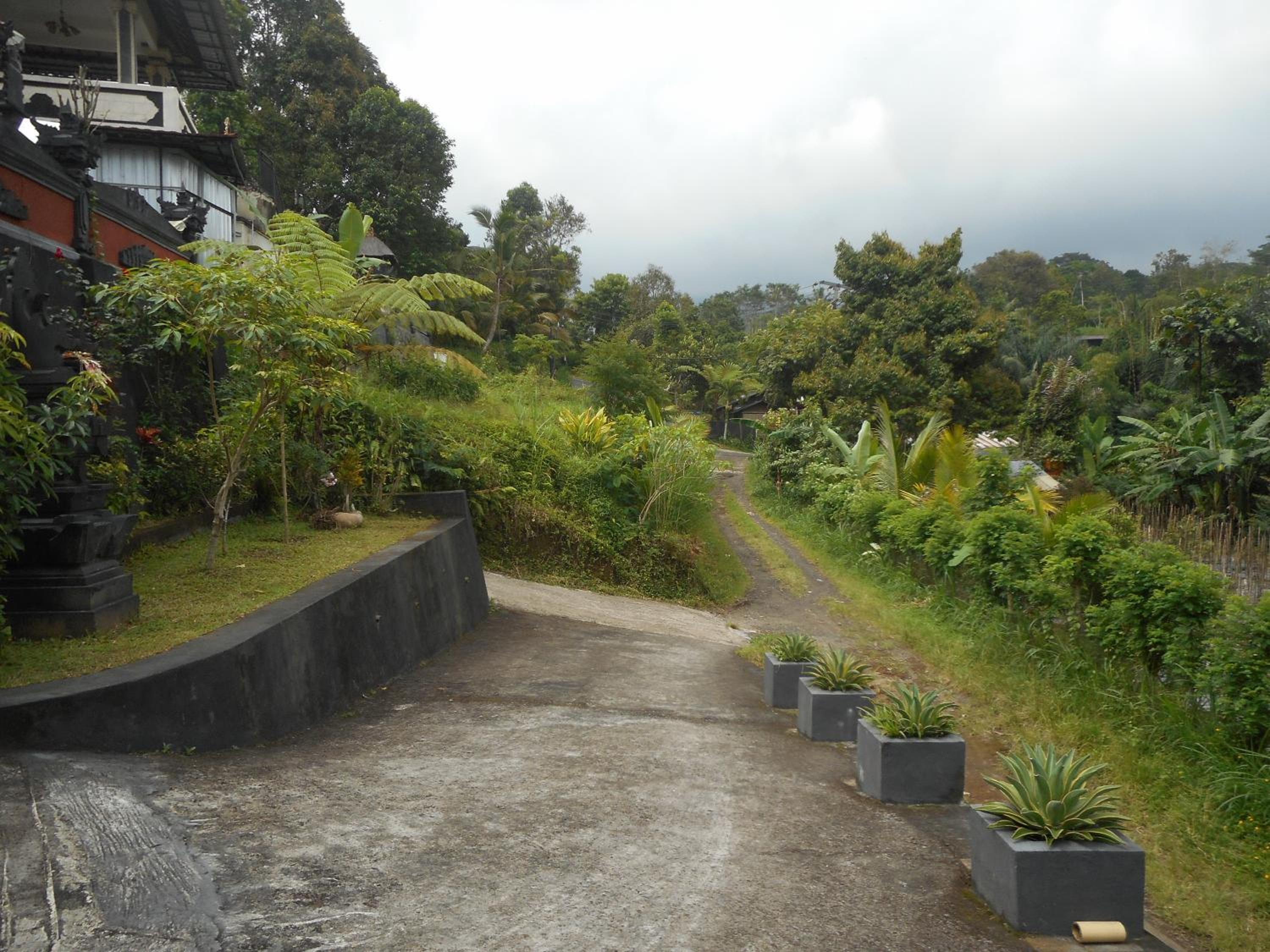 Kadek Homestay