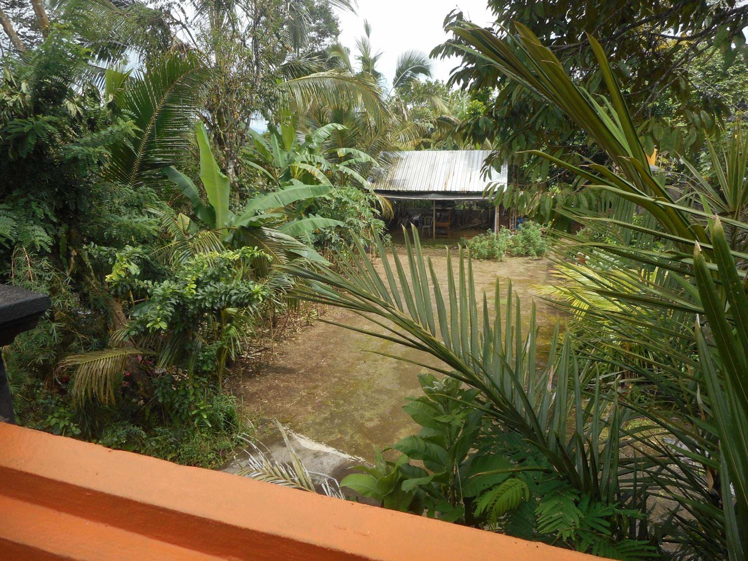 Kadek Homestay
