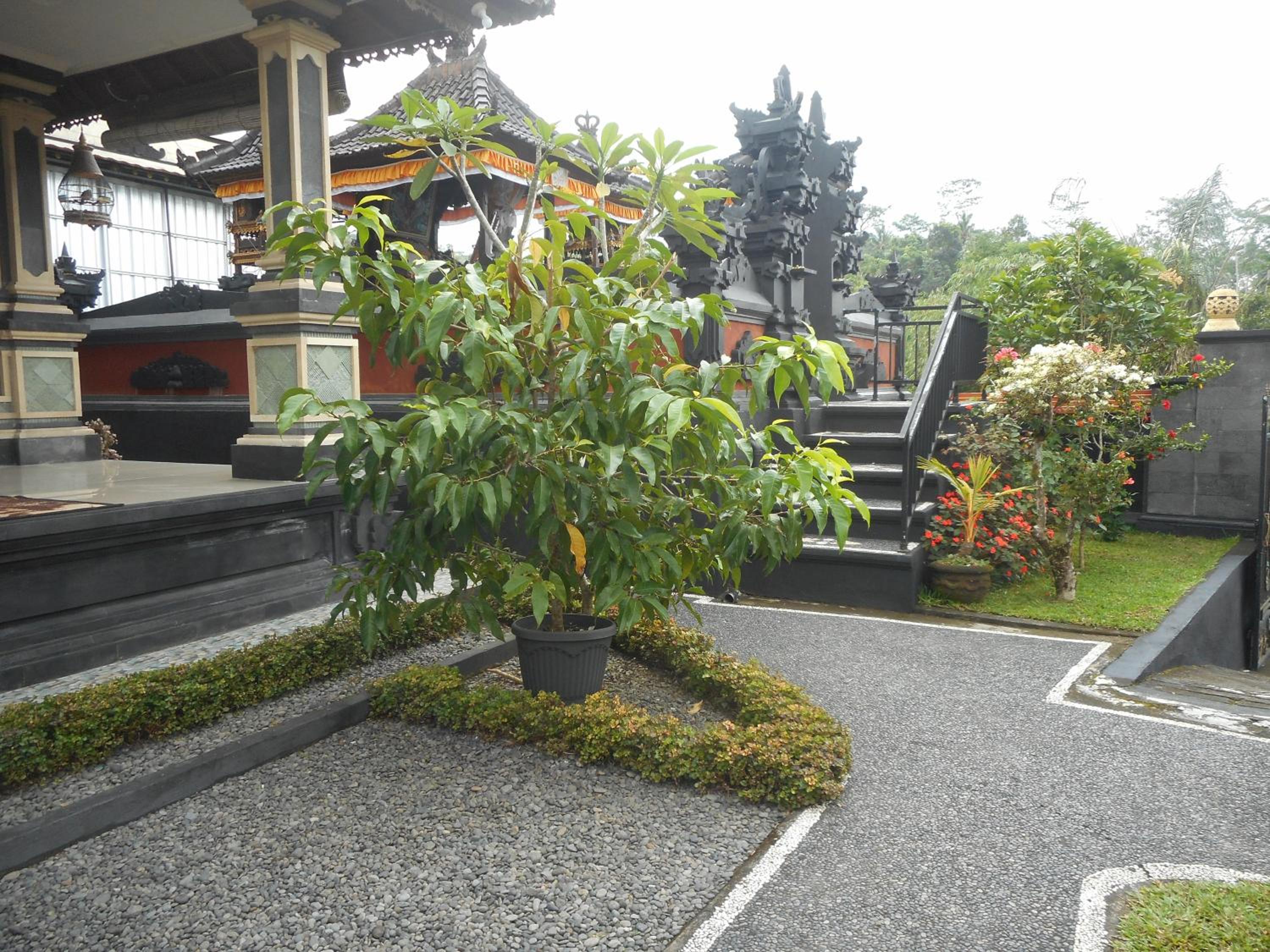 Kadek Homestay