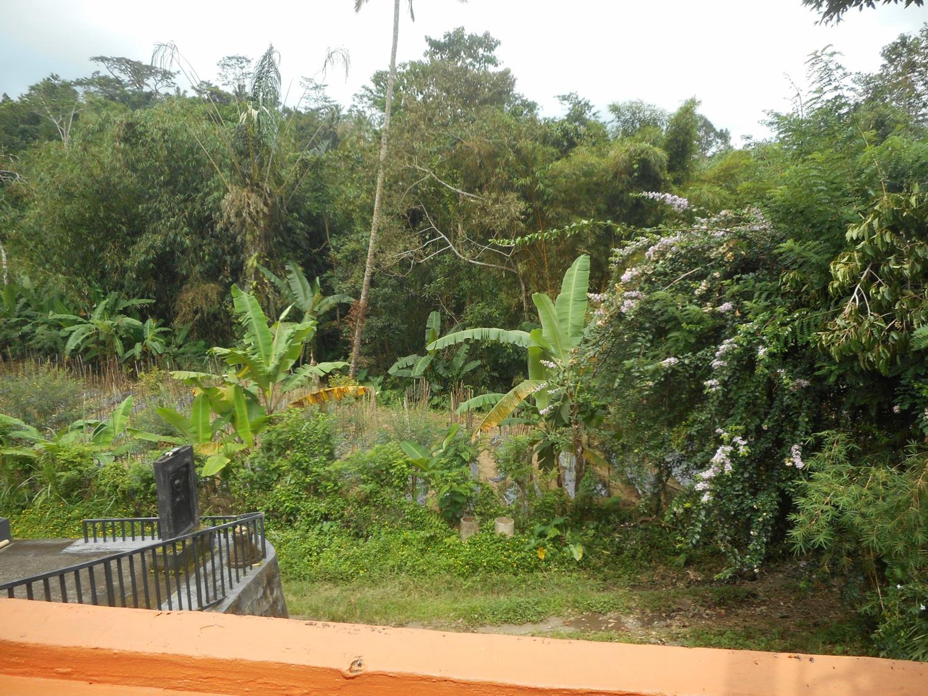 Kadek Homestay