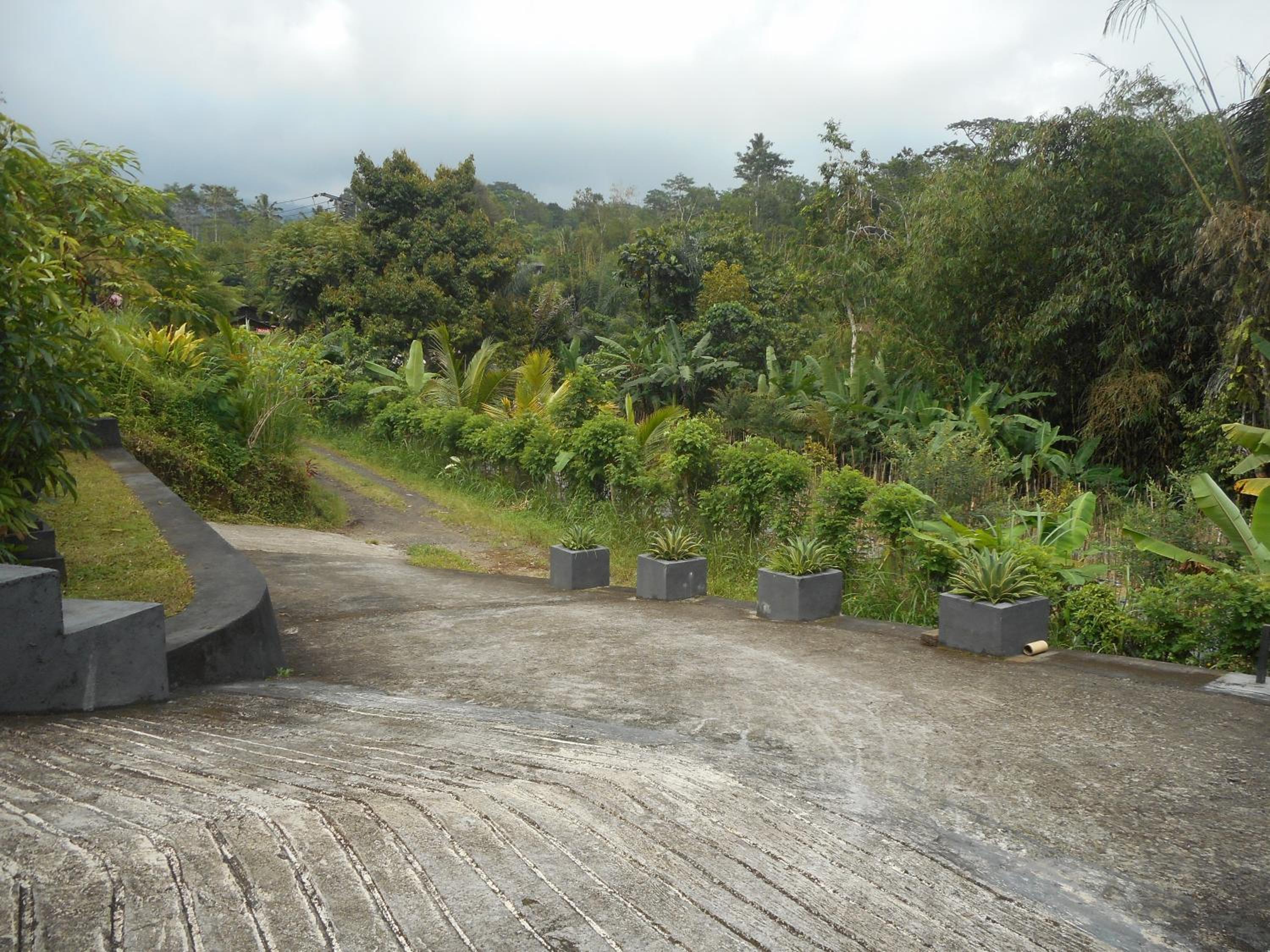 Kadek Homestay