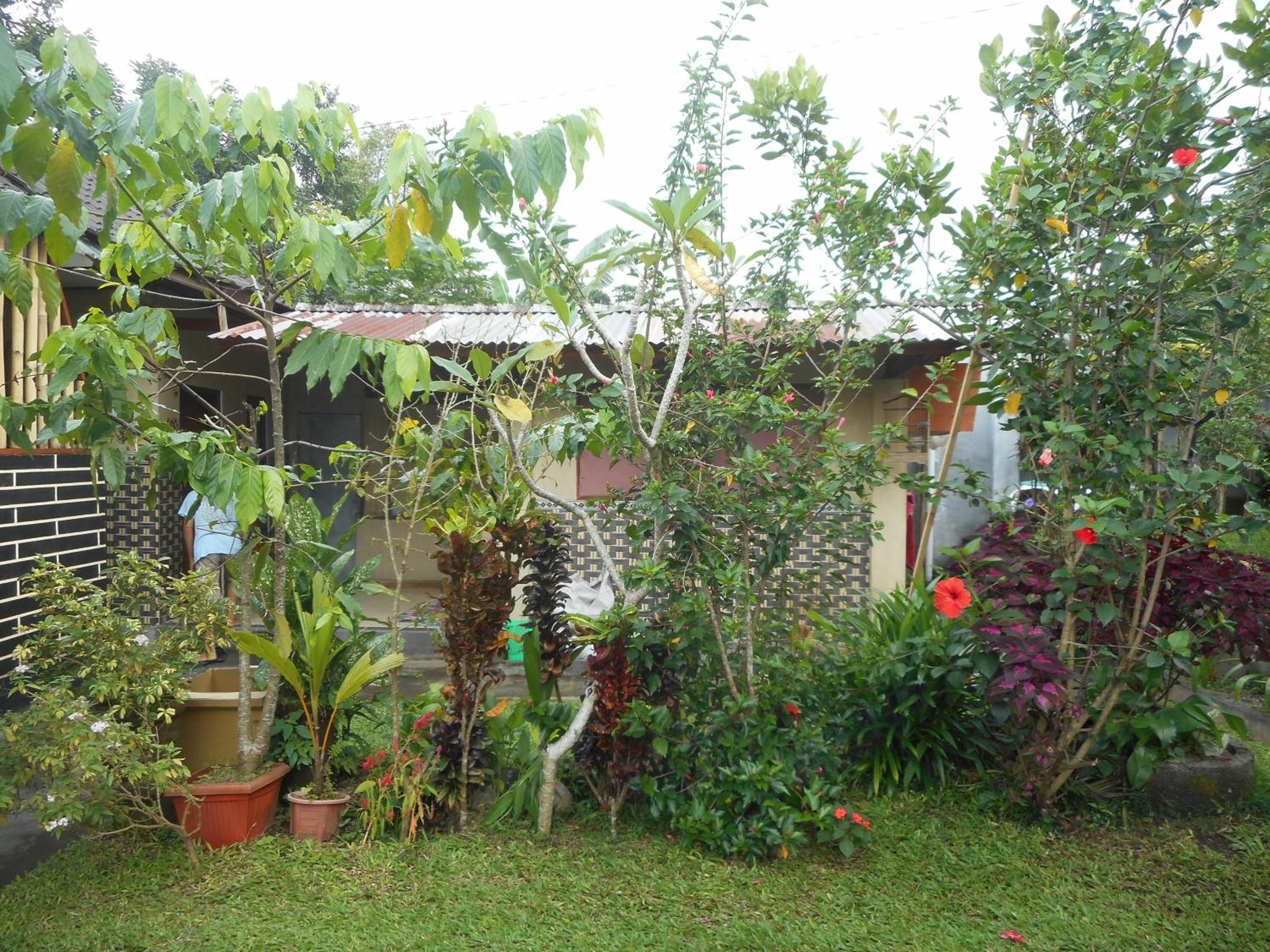 Kadek Homestay