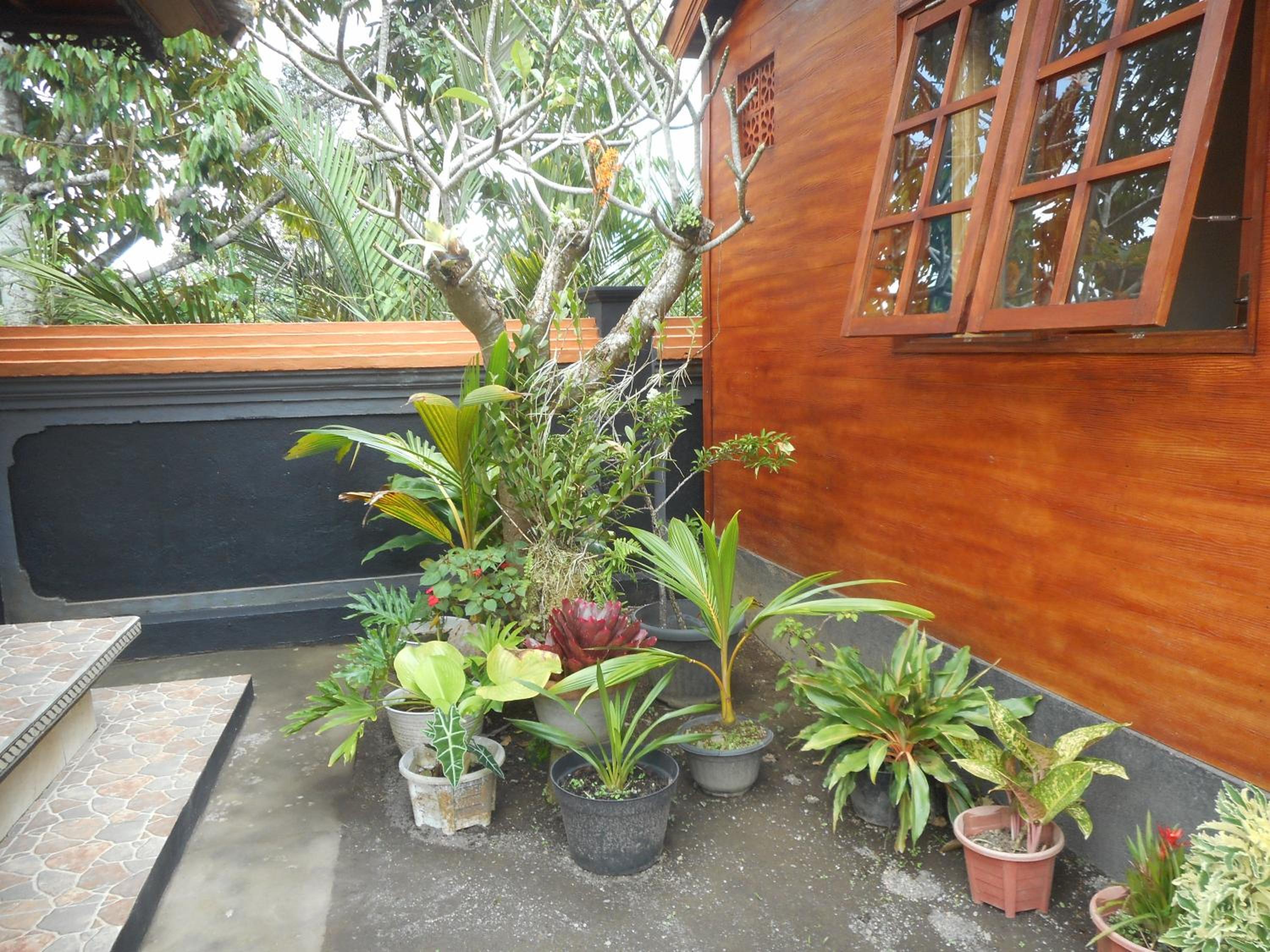 Kadek Homestay