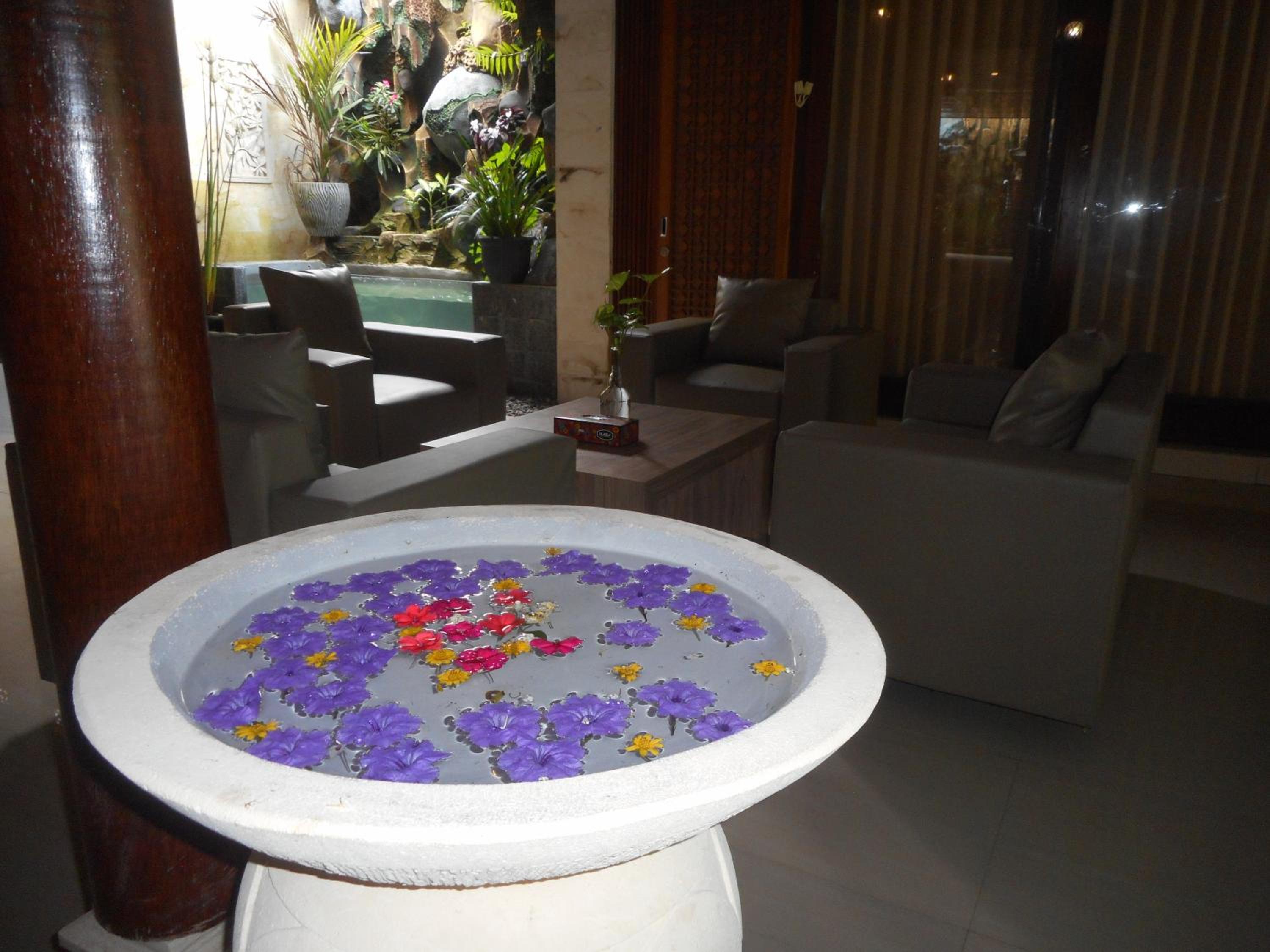 recepcion & lobby