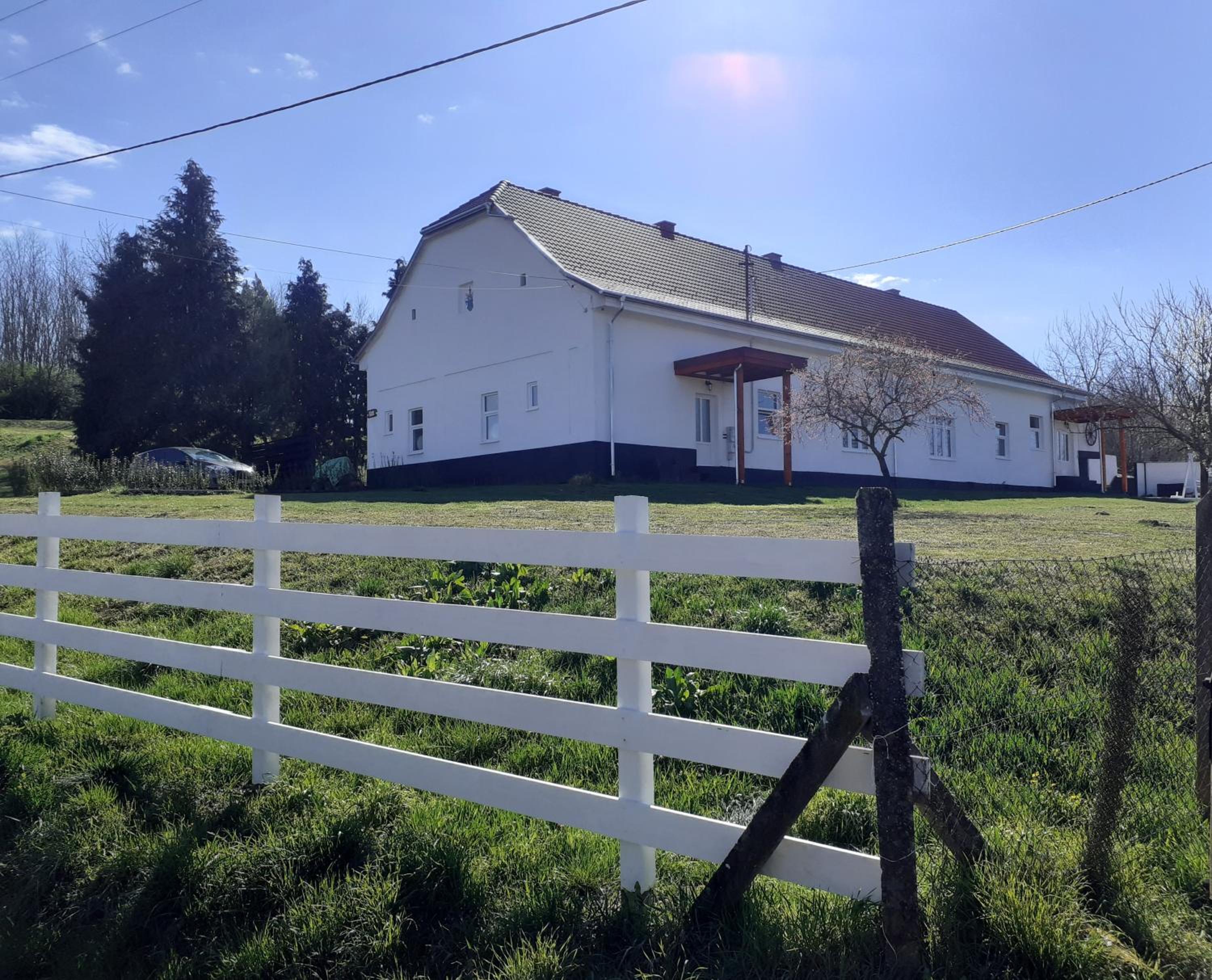 Photo 16