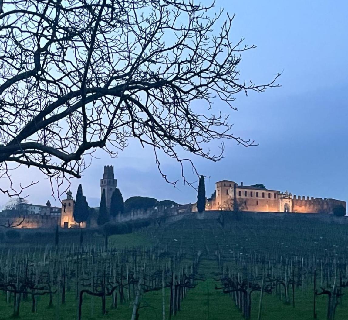 I sassi della Piave