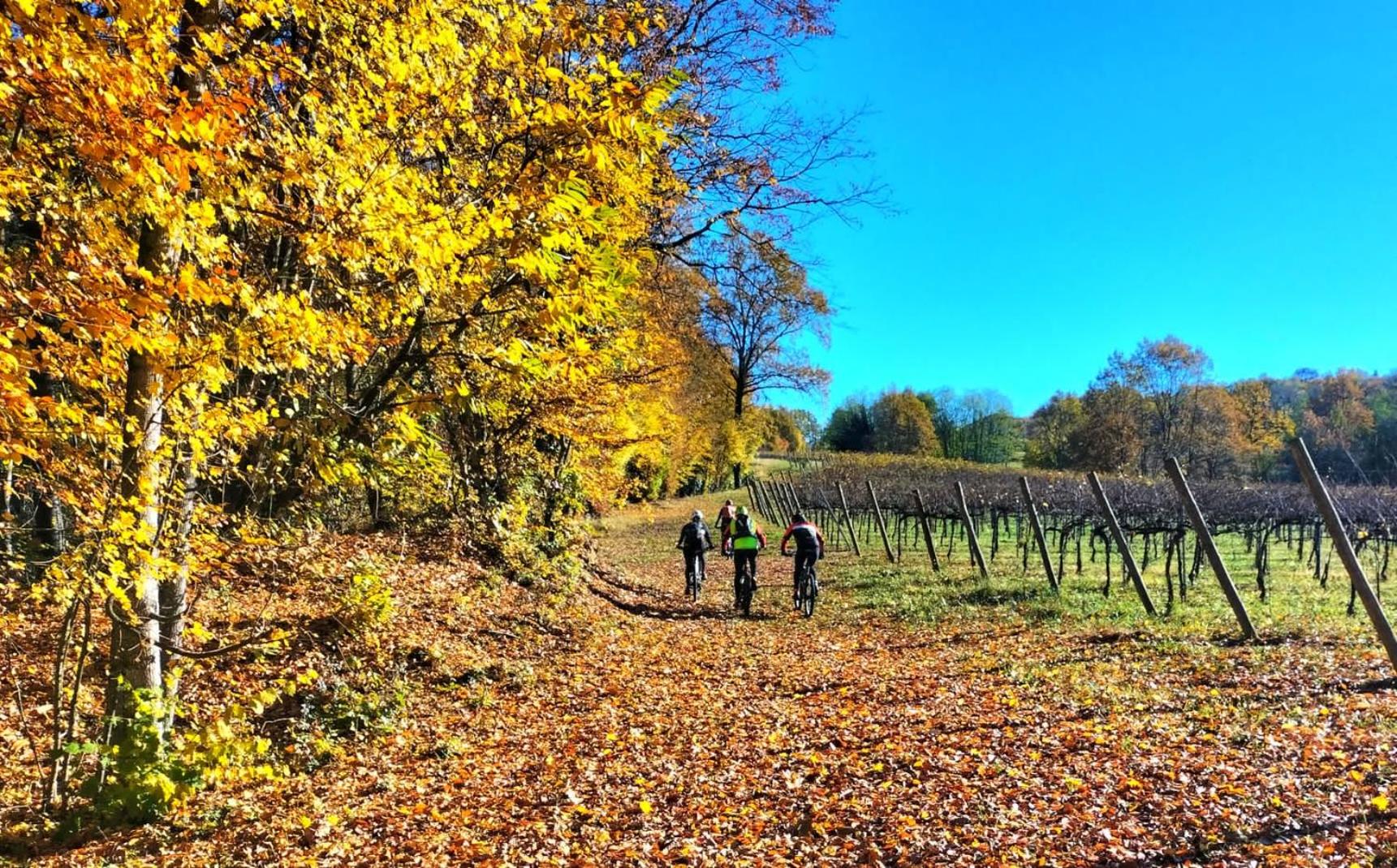 I sassi della Piave