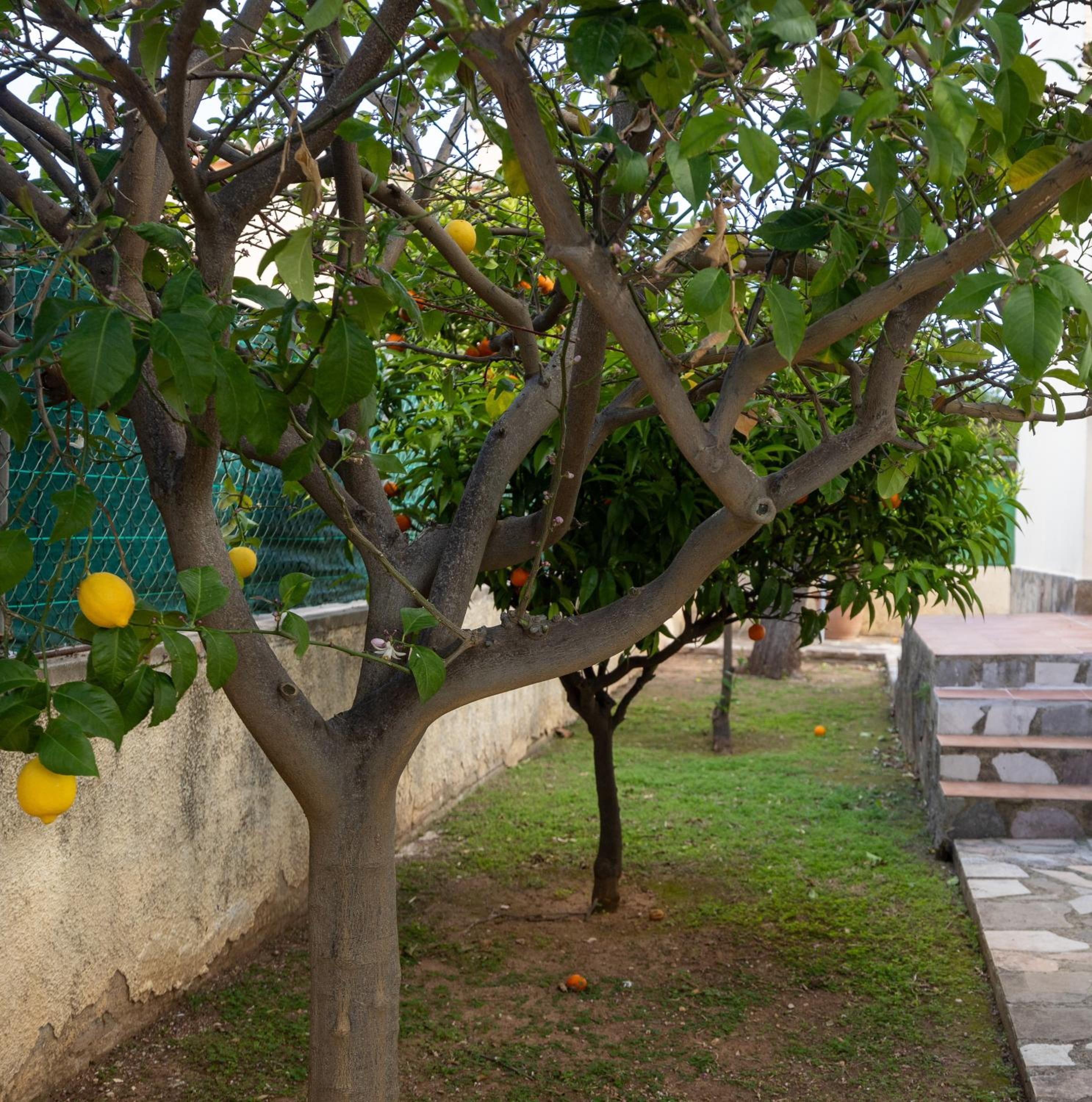 Villa Vilches