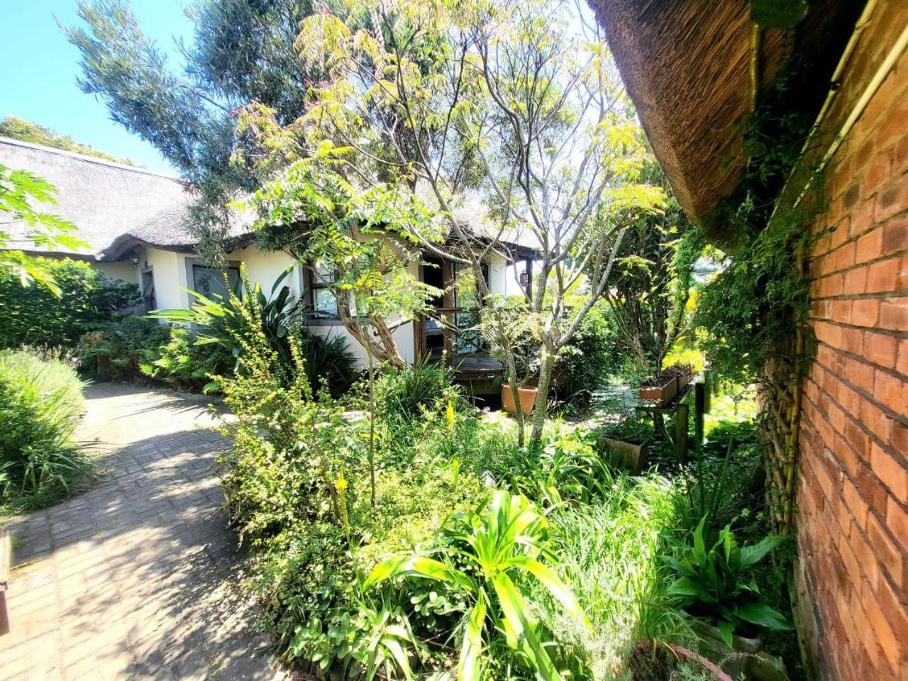 Photo 48