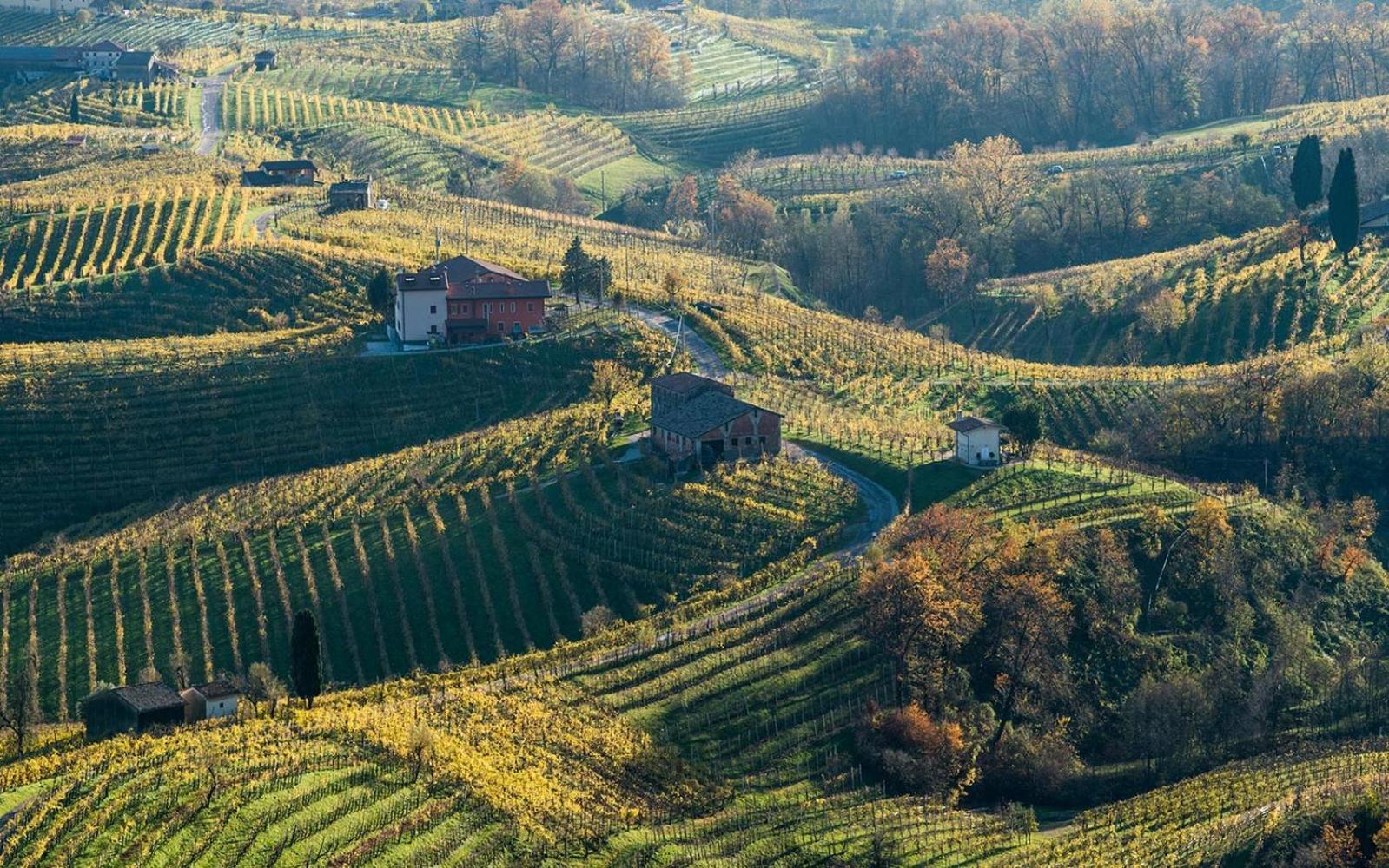 Centralissimo con vista colline