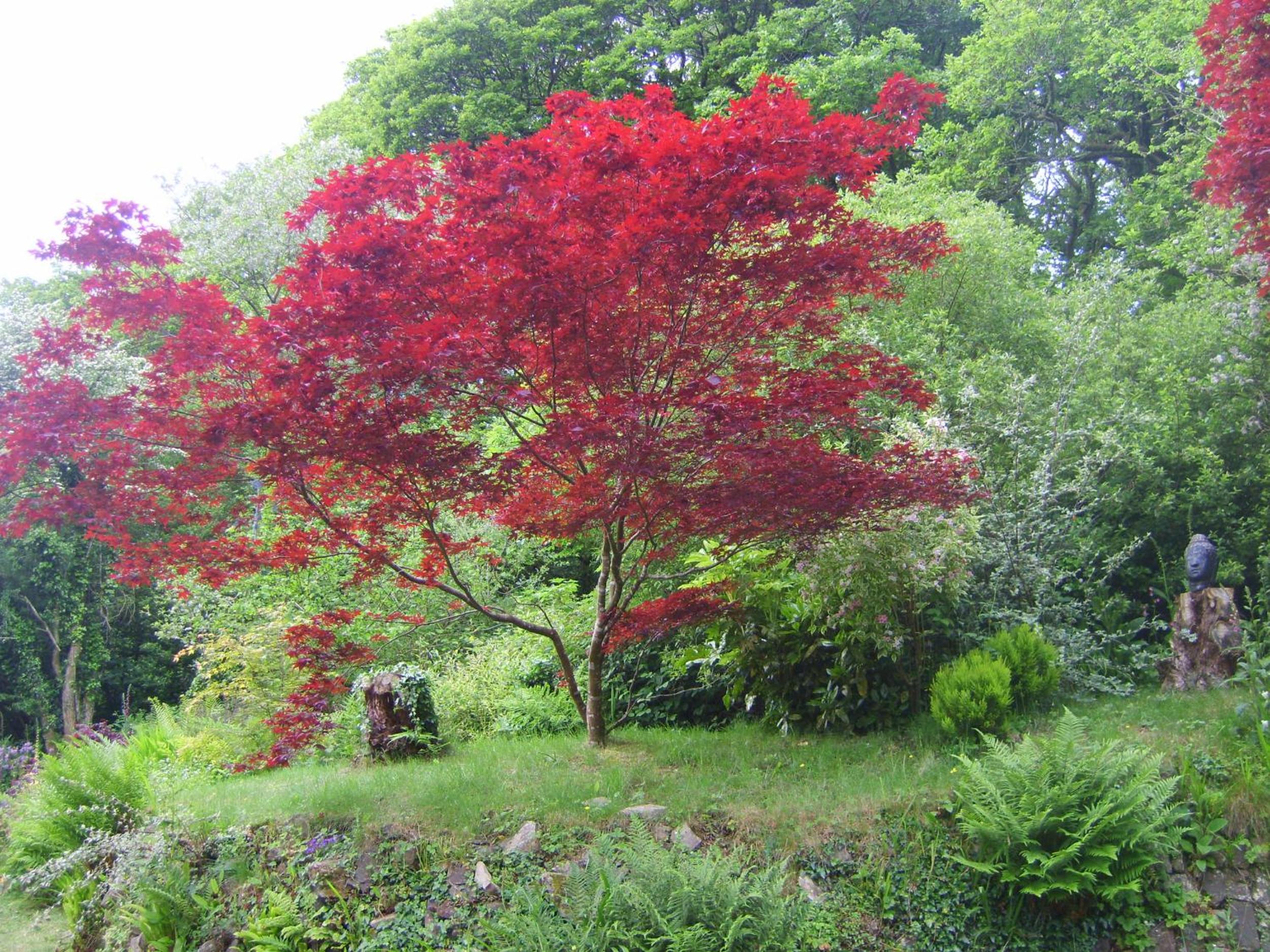 Rhyd y Brown Cottage Llys Y Fran, Clynderwen view 2