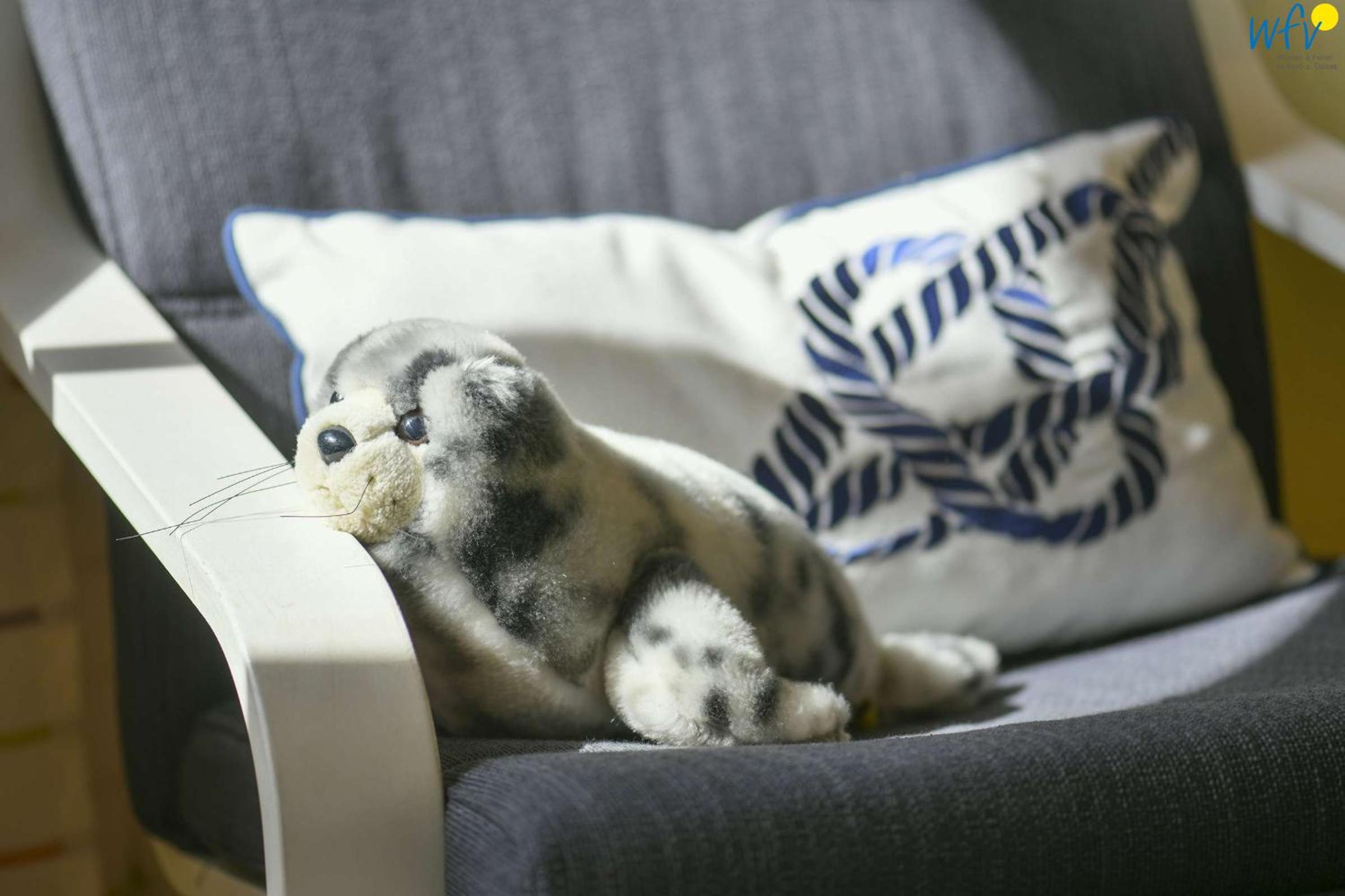 Haus Dünenrose Ferienwohnung Seehund