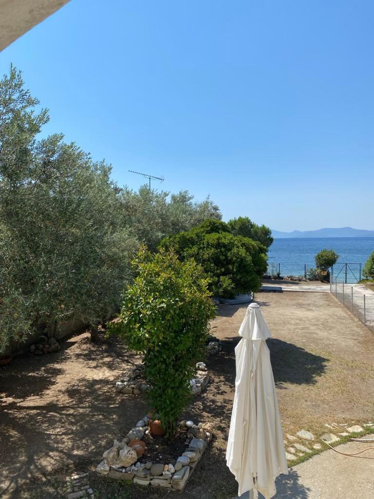 ELENI'S SEASIDE HOUSE view 2