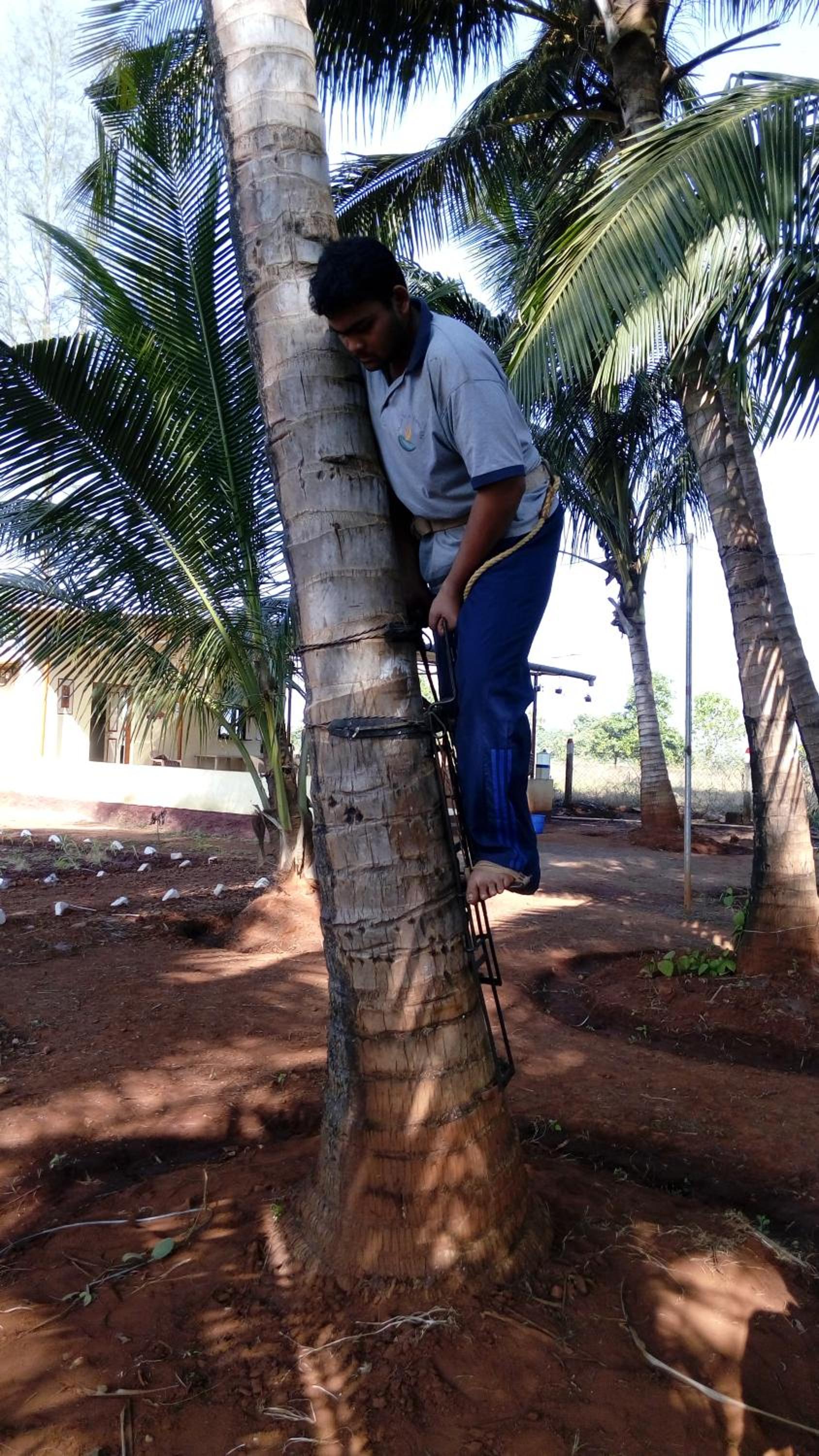 TRIMURTI NATURE HERITAGE FARMS