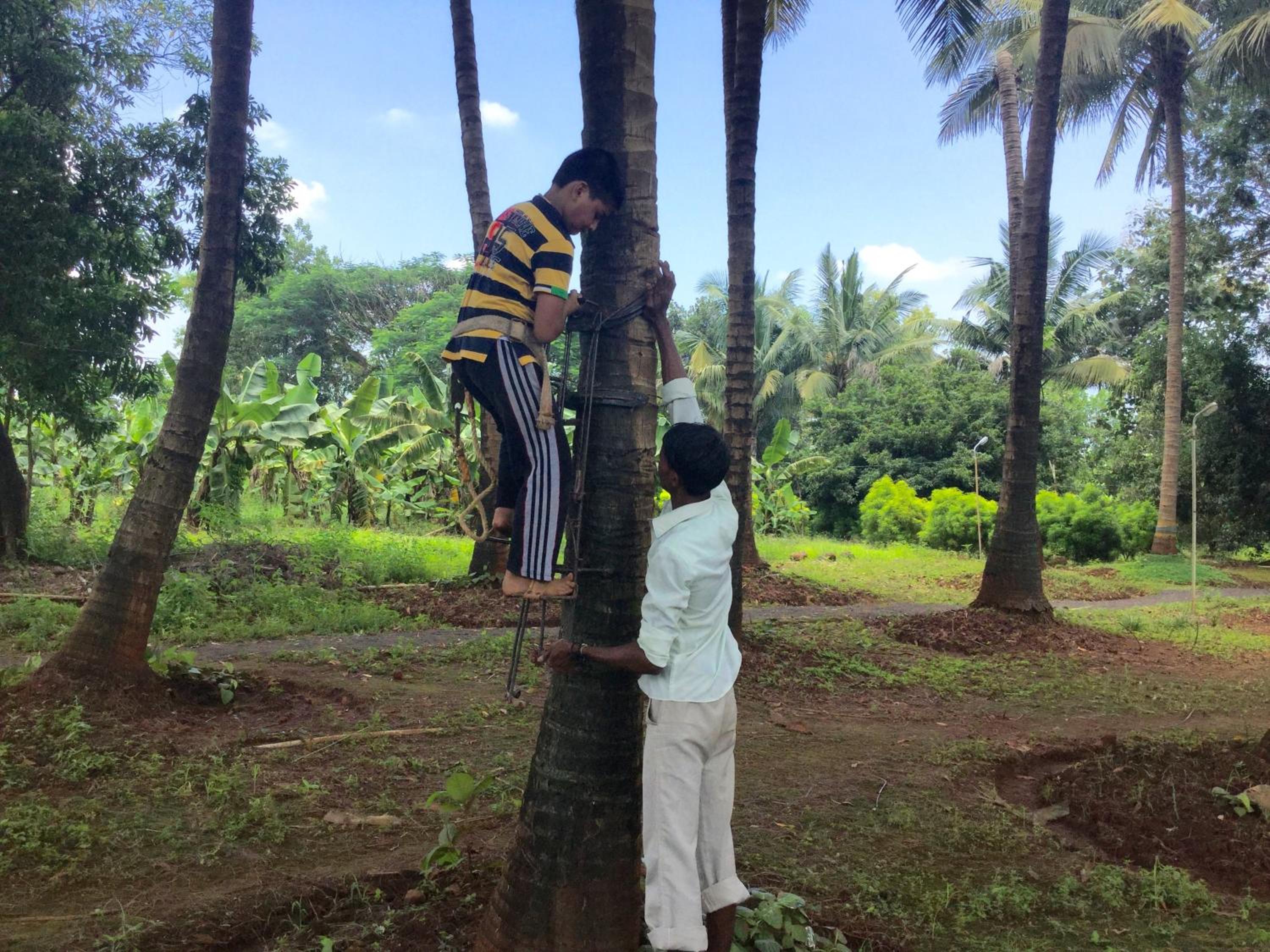 TRIMURTI NATURE HERITAGE FARMS