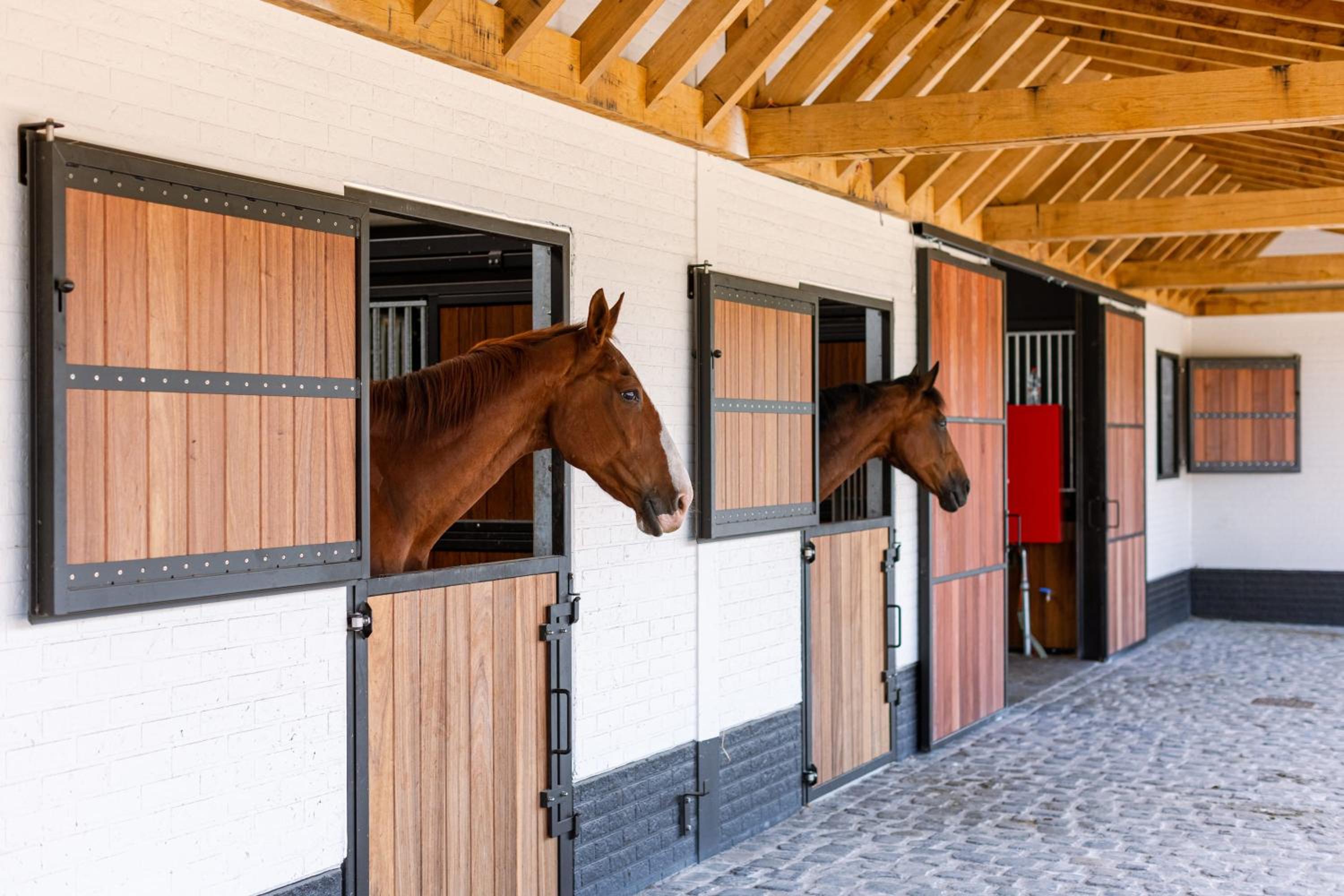 Bruges Vacations - House at ranch between Bruges and Damme - Property Image 8