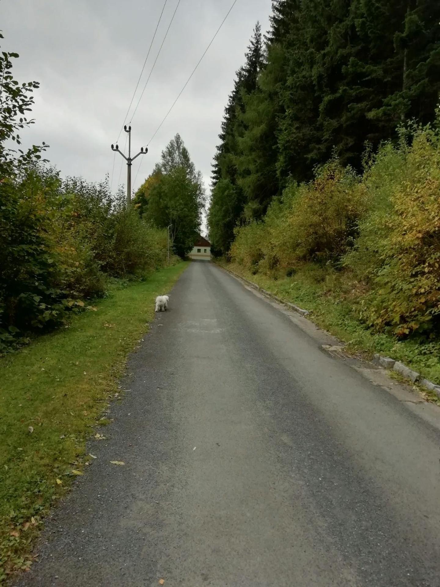 Photo 33