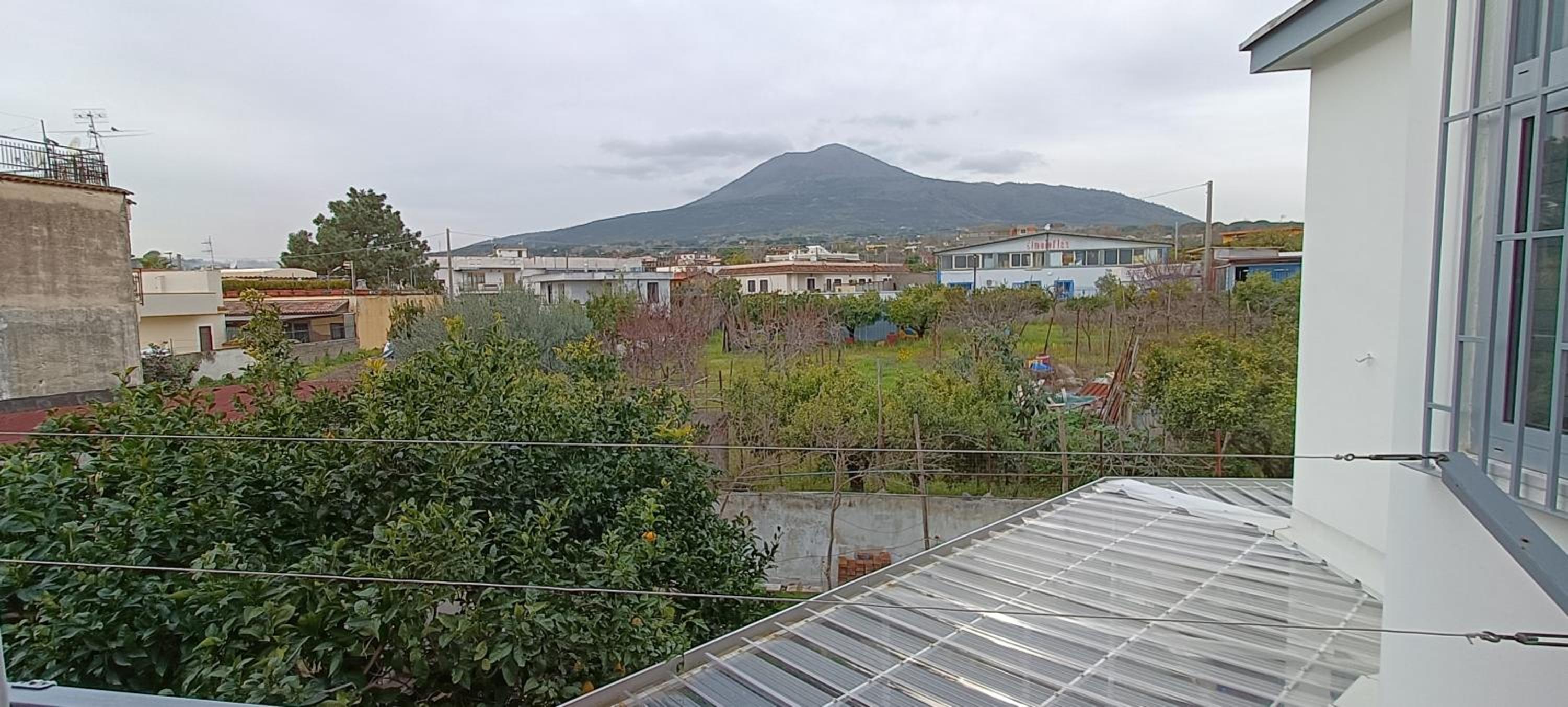 Photo 50