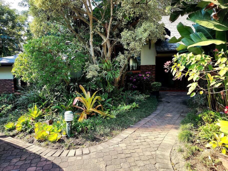 Photo 7