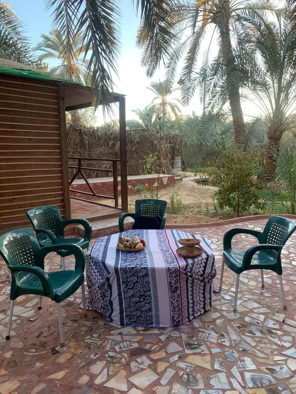 Omar Oasis
