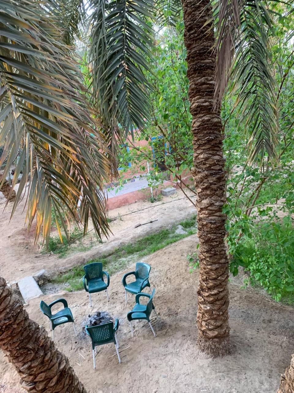 Omar Oasis