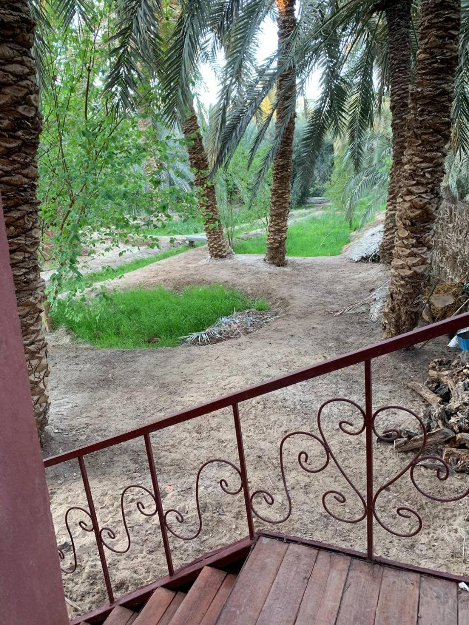 Omar Oasis
