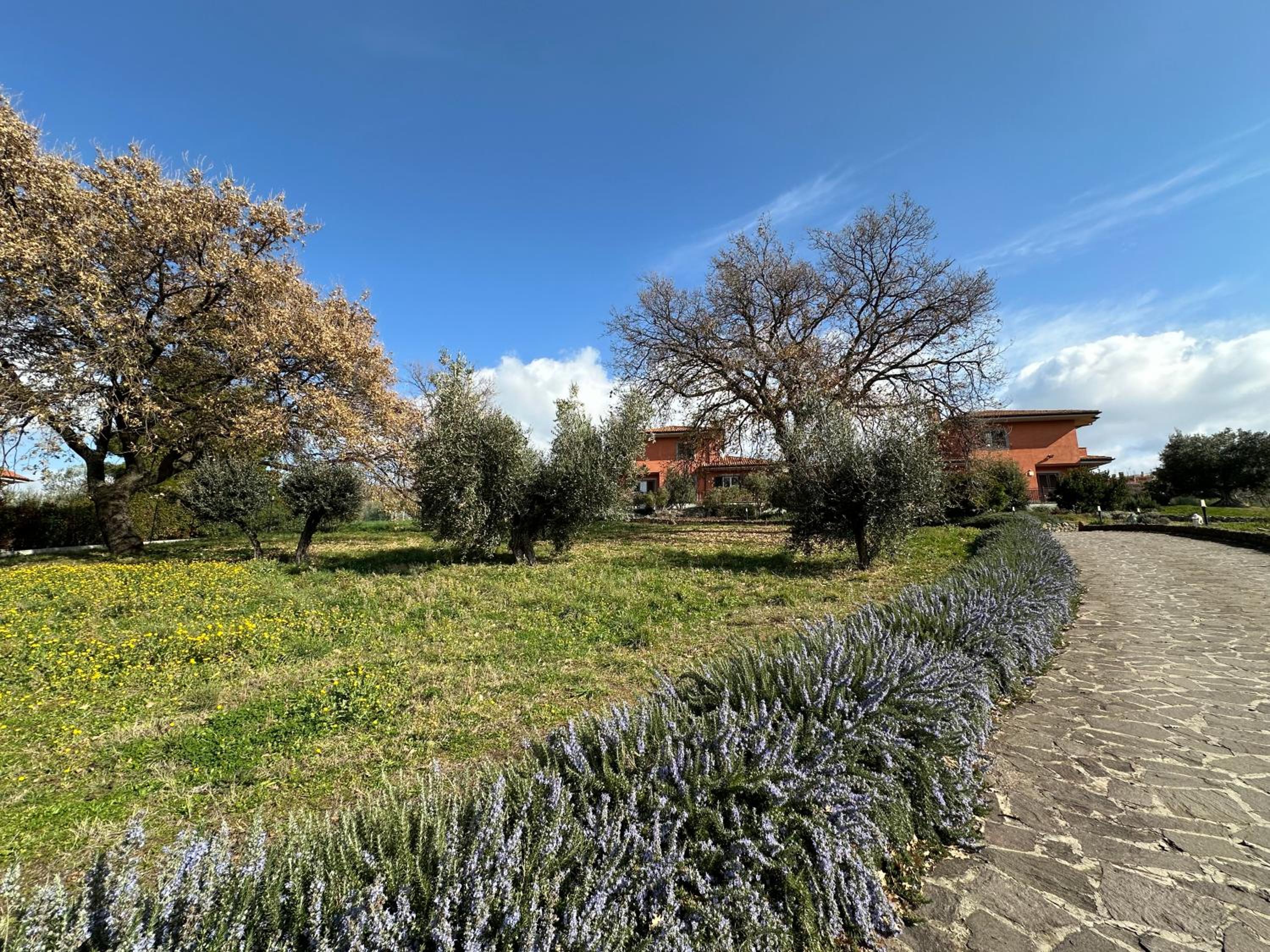 B&B Bee view 2