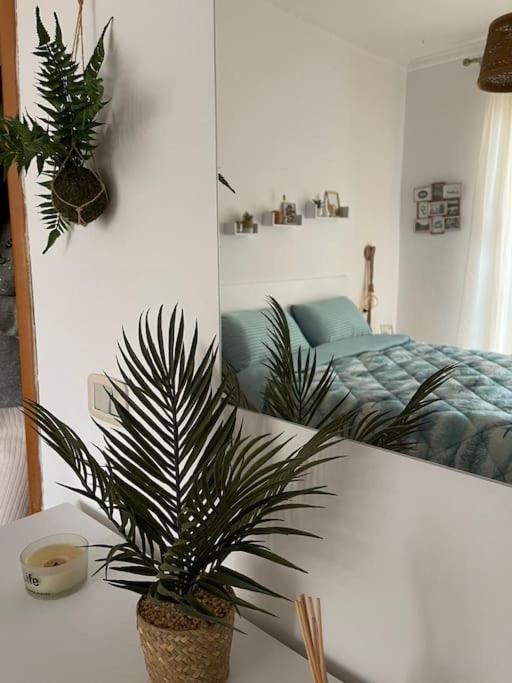 Valona boho apartment