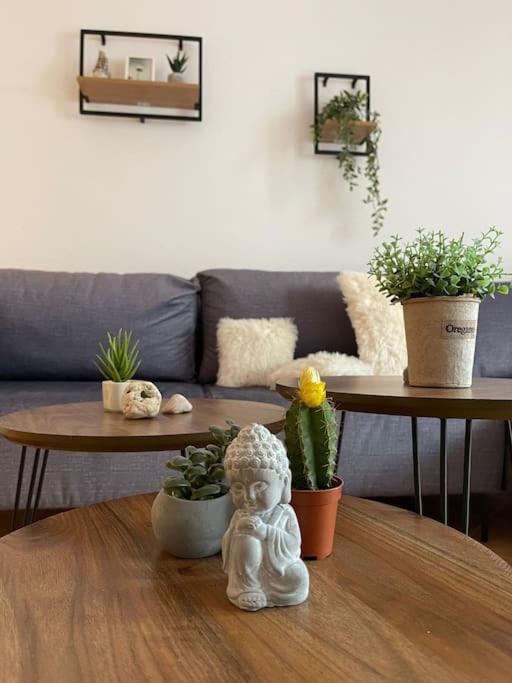 Valona boho apartment