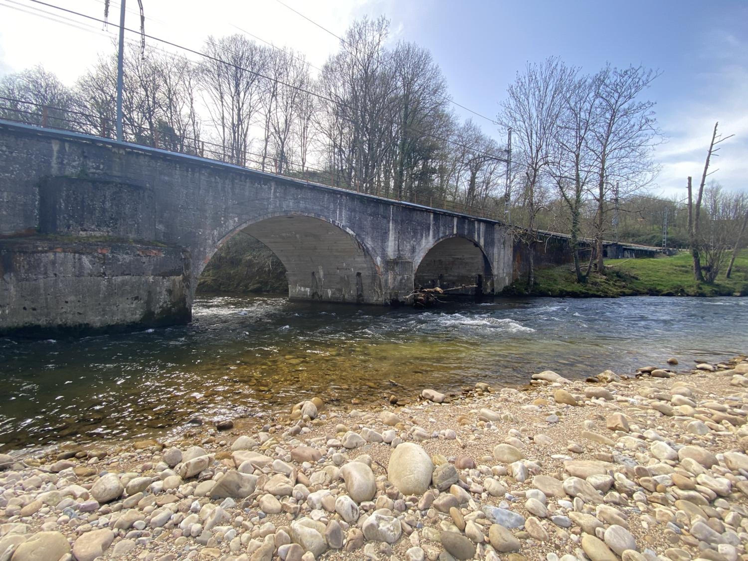 Photo 41